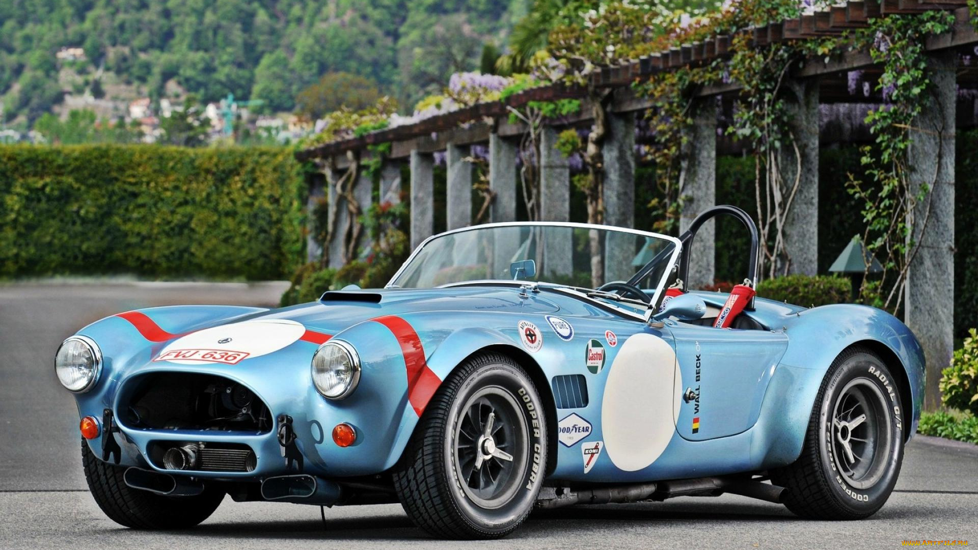 автомобили, ac, cobra, shelby