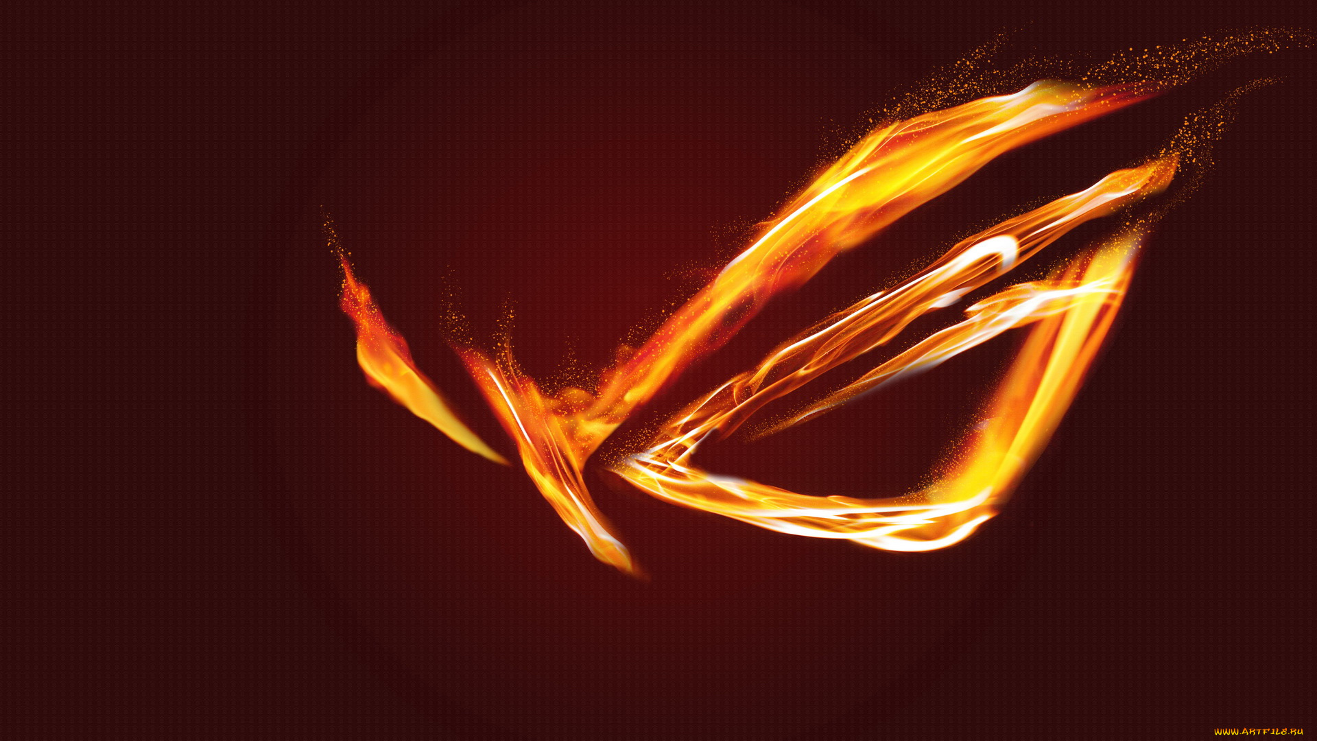 компьютеры, asus