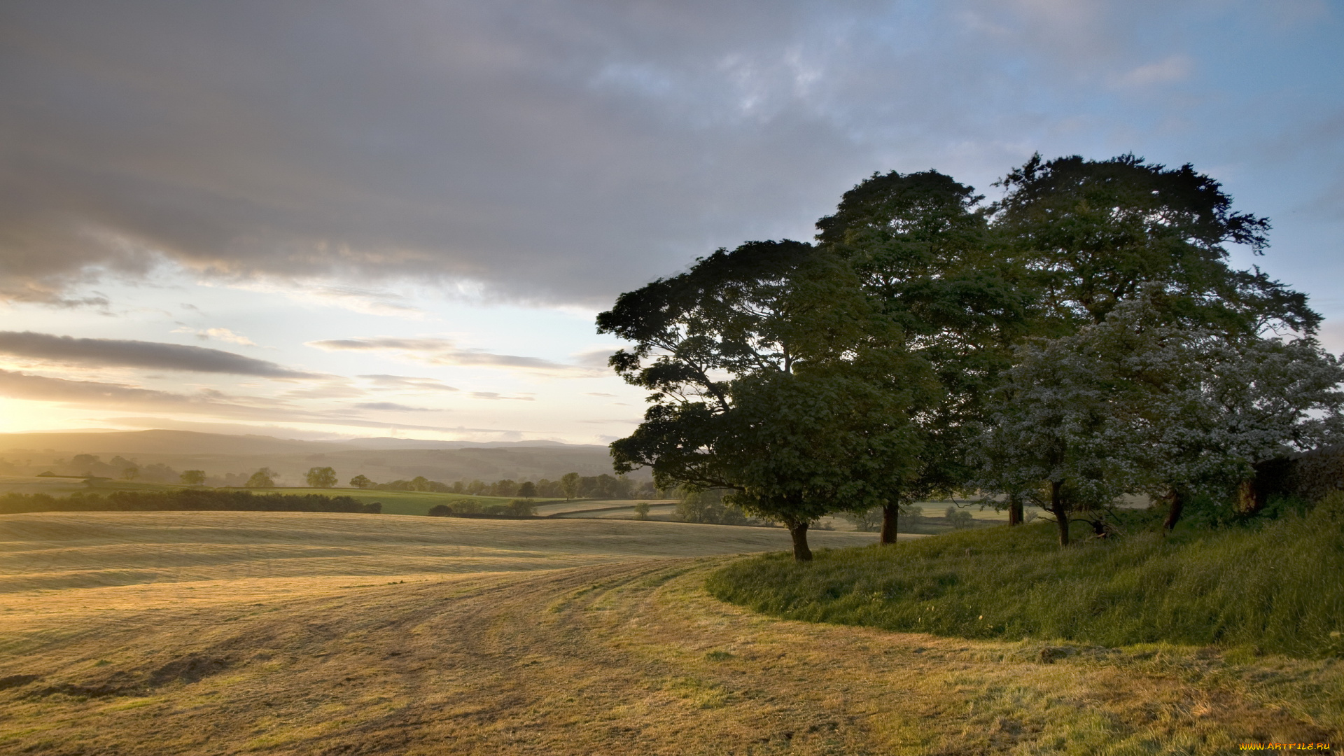 природа, поля, облака, деревья