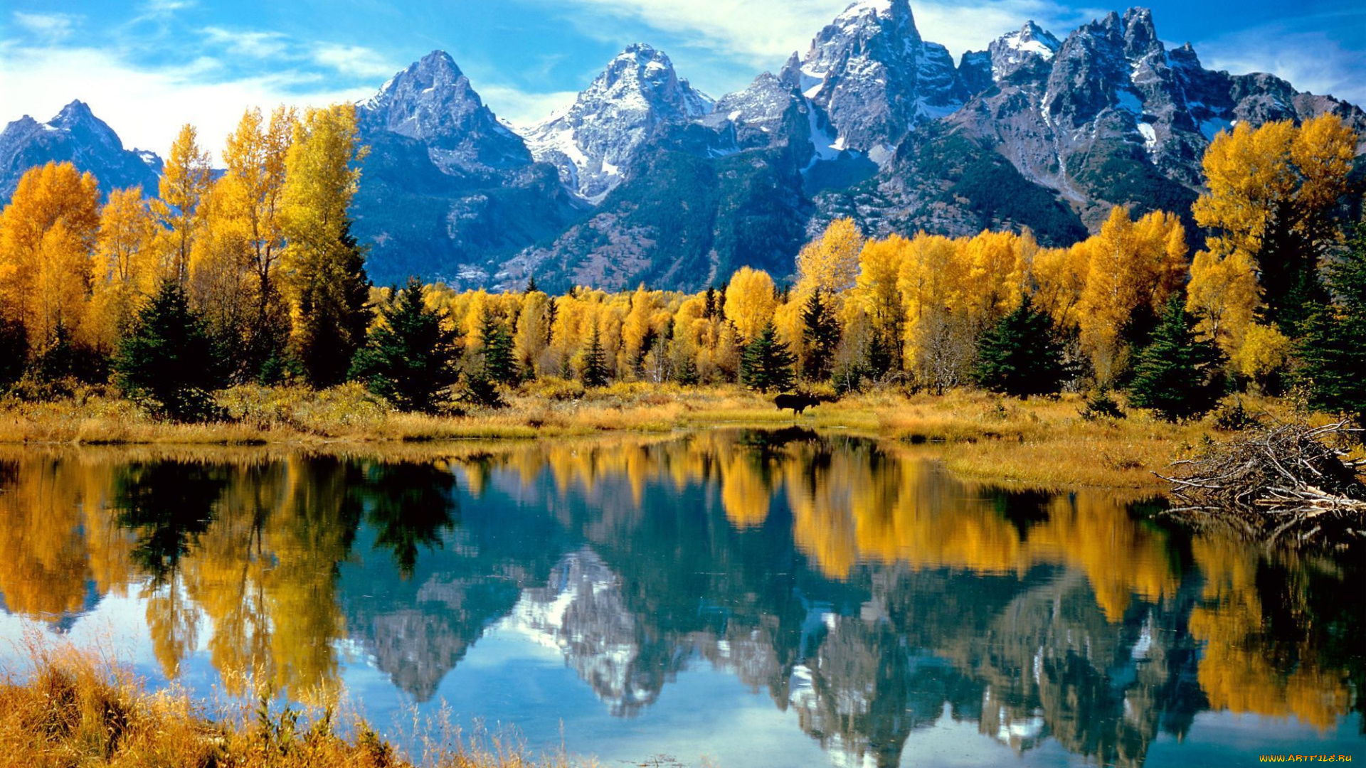 природа, реки, озера, горы, водоем, деревья, осень