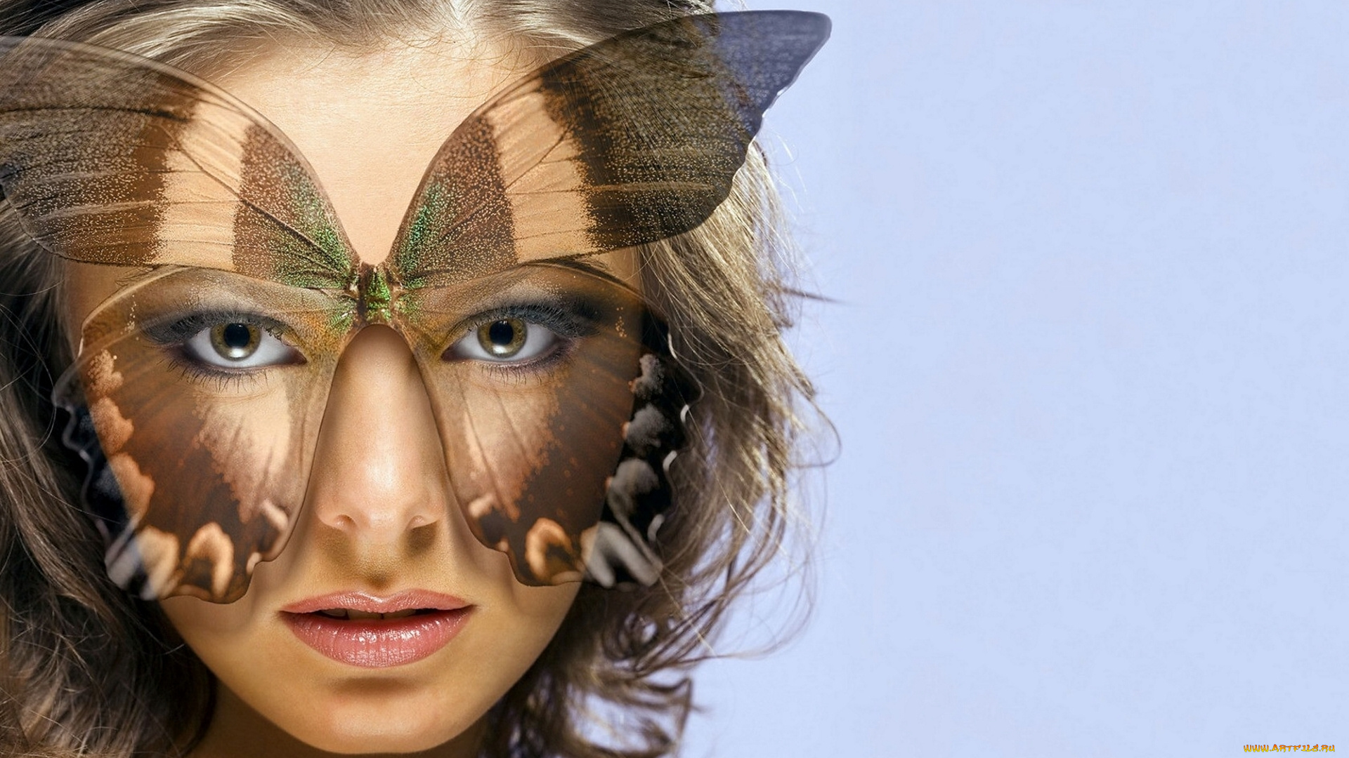 разное, компьютерный, дизайн, бабочка, девушка, взгляд