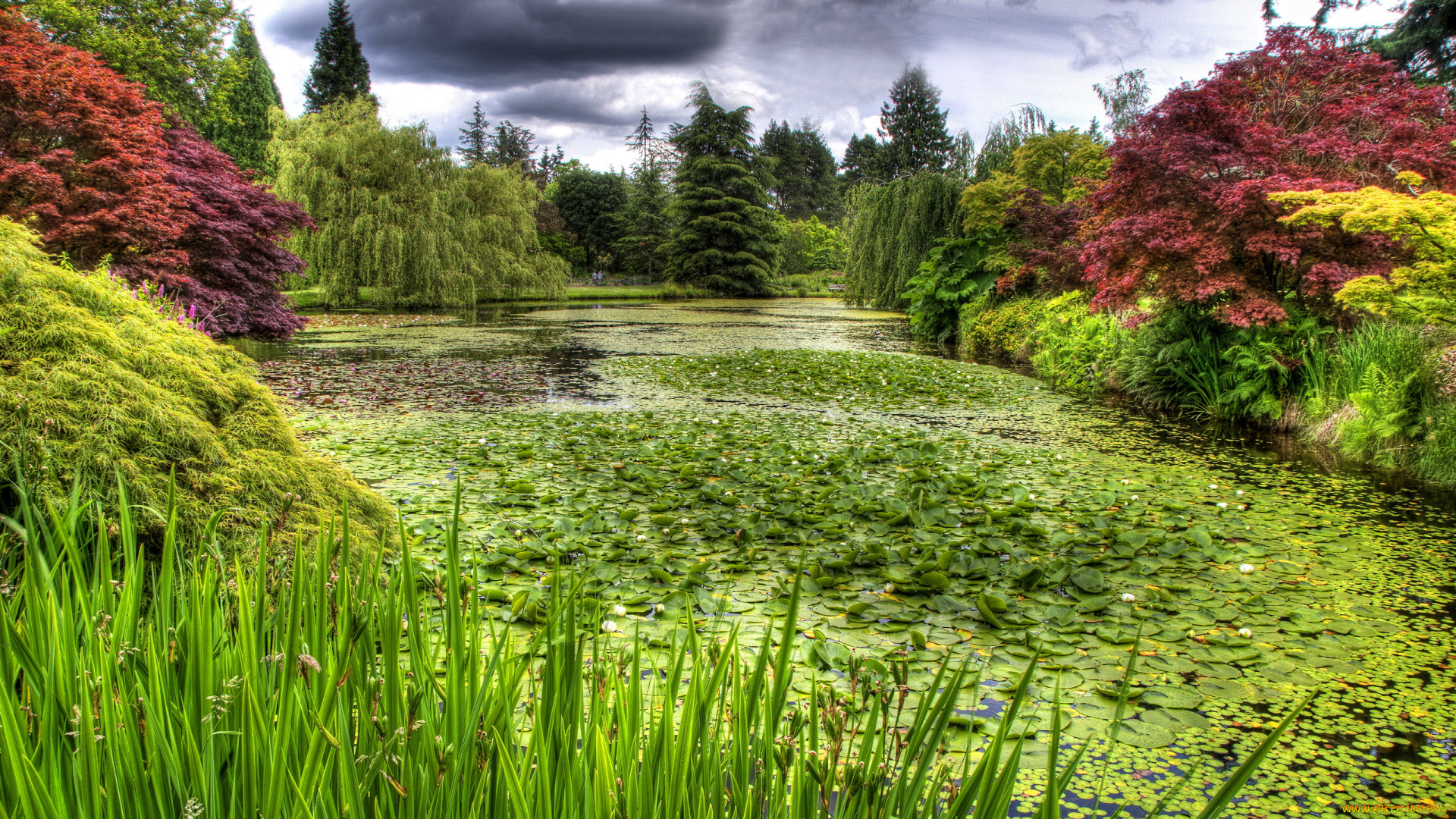 vandusen, botanical, garden, vancouver, природа, парк