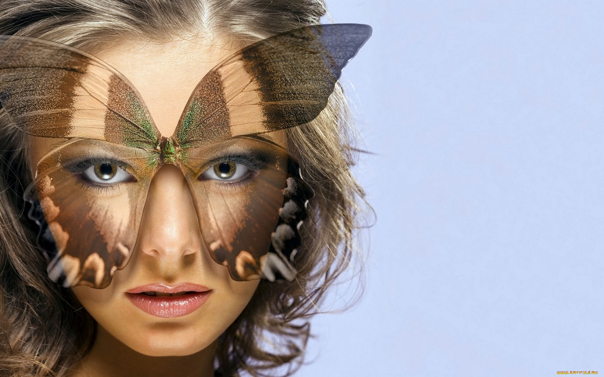 разное, компьютерный, дизайн, бабочка, девушка, взгляд