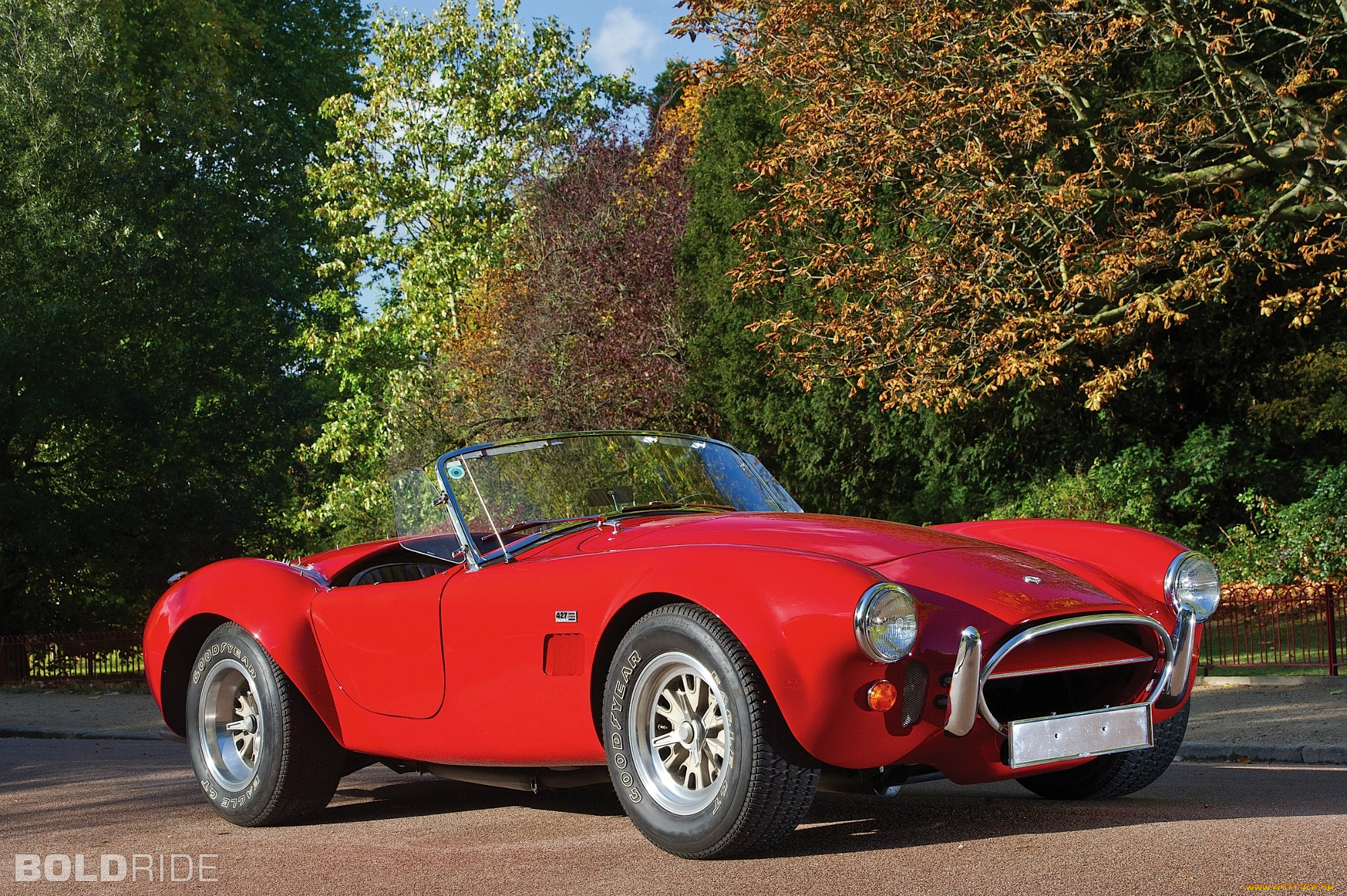 автомобили, ac, cobra, shelby