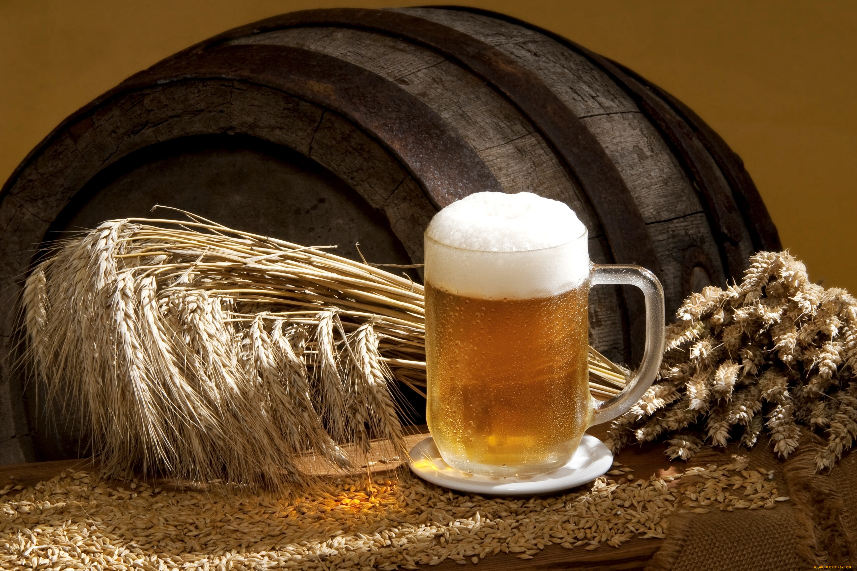 еда, напитки, пиво, колосья, зерно
