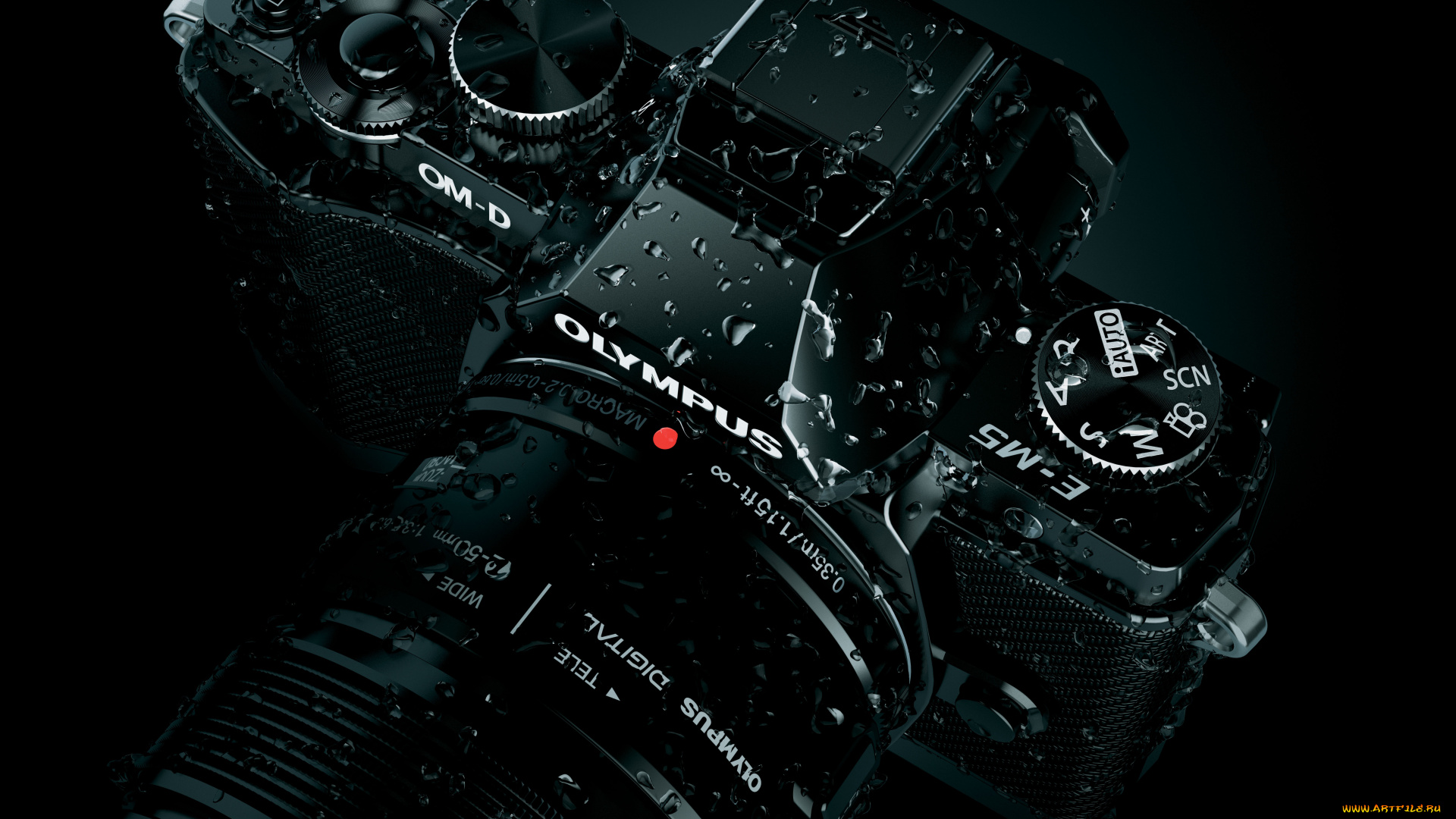 бренды, olympus, макро, капли, фотоаппарат