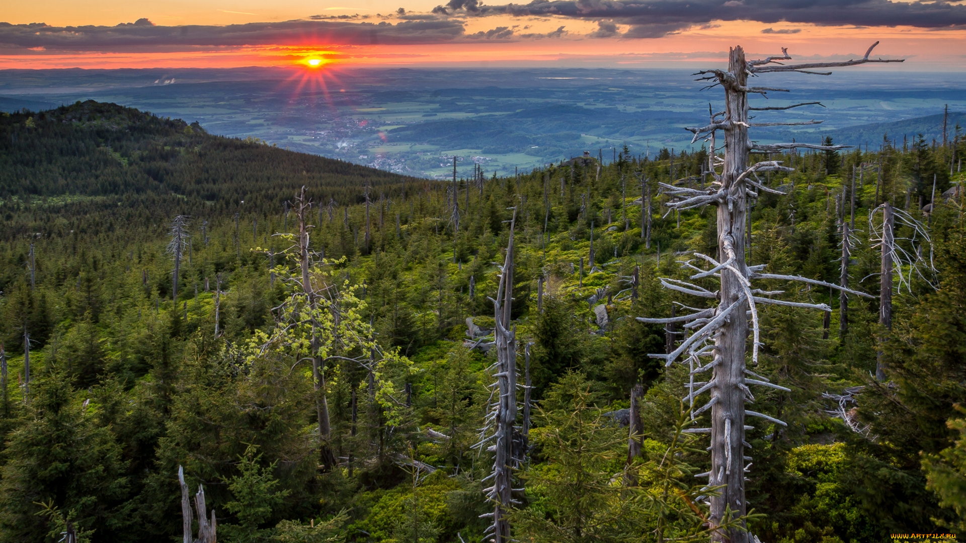 jizera, mountains, природа, восходы, закаты, Чехия, czech, republic, деревья, лес, пейзаж, панорама, закат, йизерские, горы