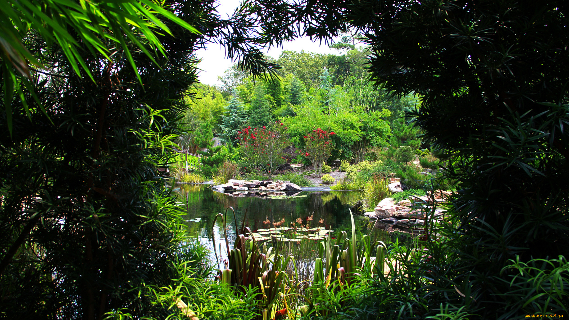 природа, реки, озера, кусты