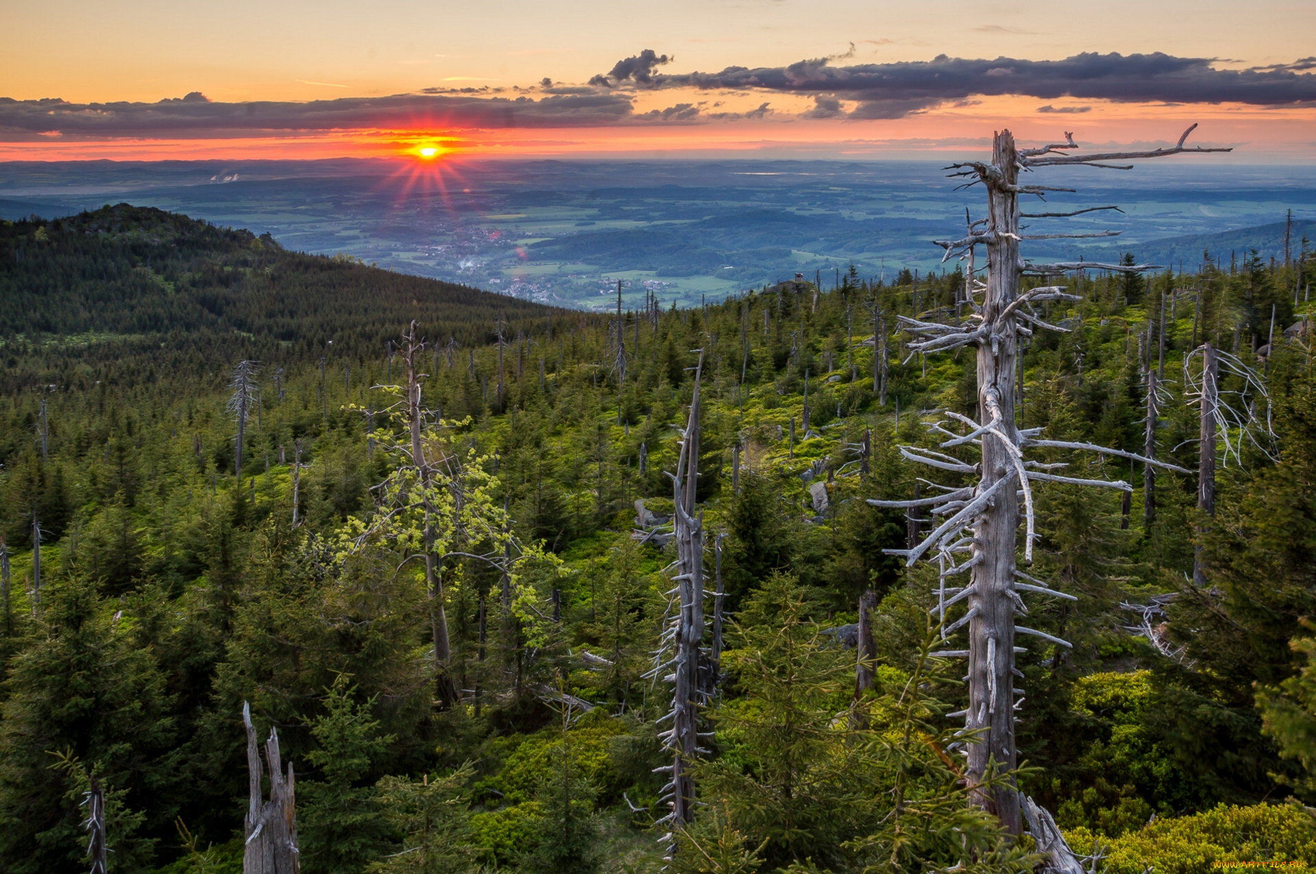 jizera, mountains, природа, восходы, закаты, Чехия, czech, republic, деревья, лес, пейзаж, панорама, закат, йизерские, горы