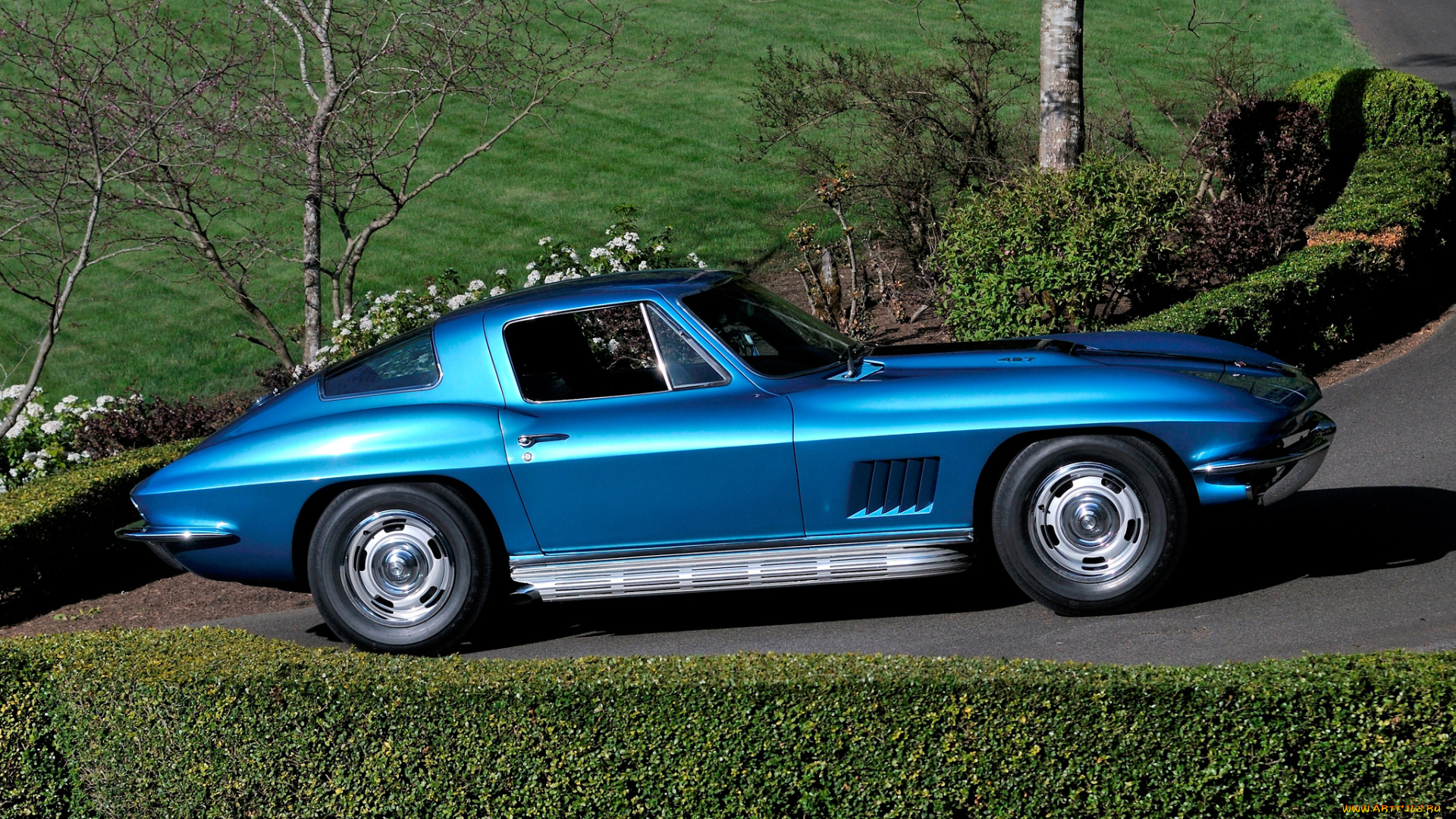 автомобили, corvette, синий, c2, 427-430, hp, sting, ray, l88