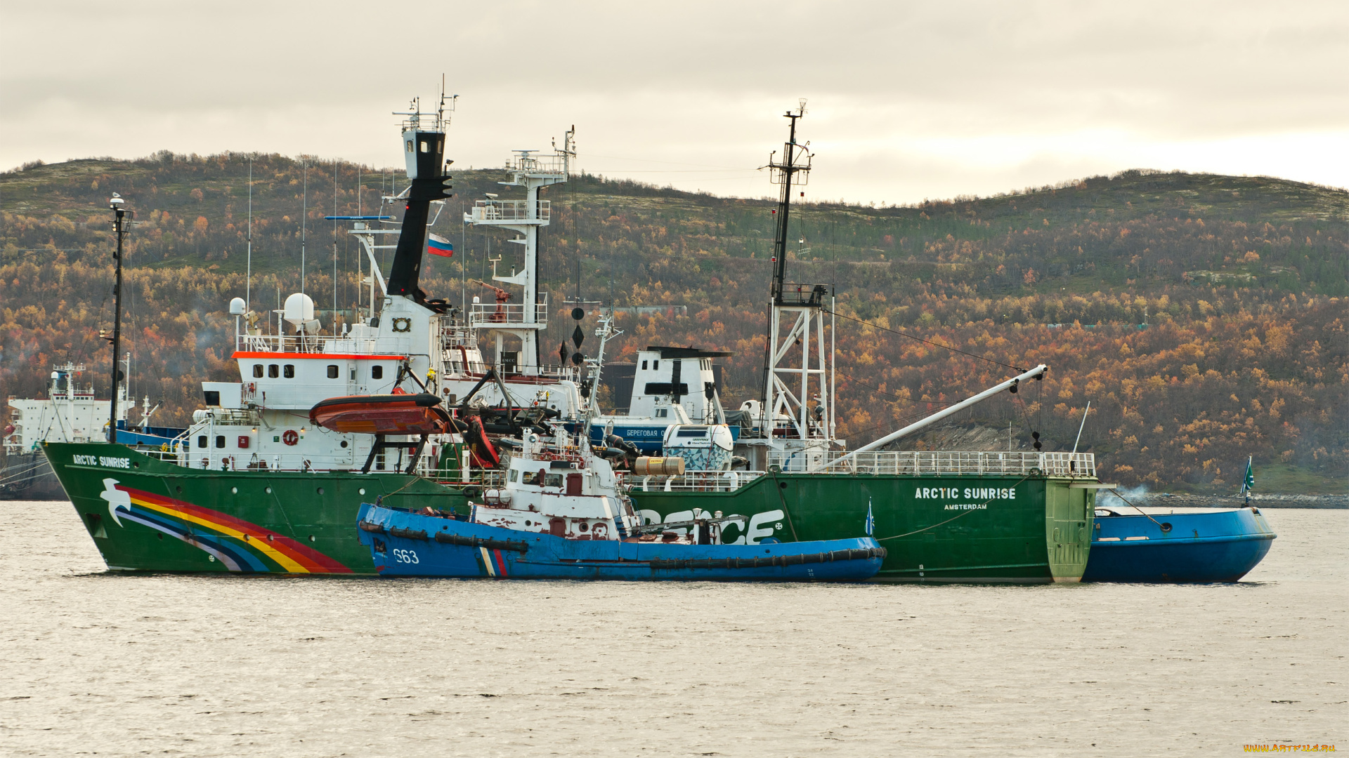 корабли, разные, вместе