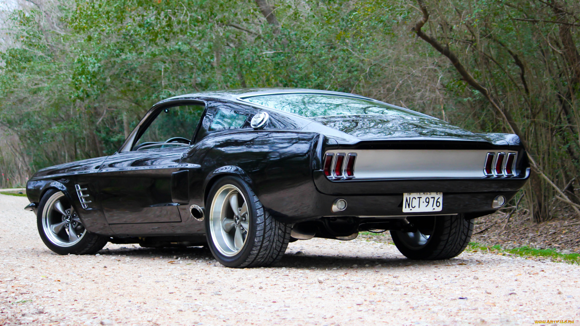 автомобили, mustang