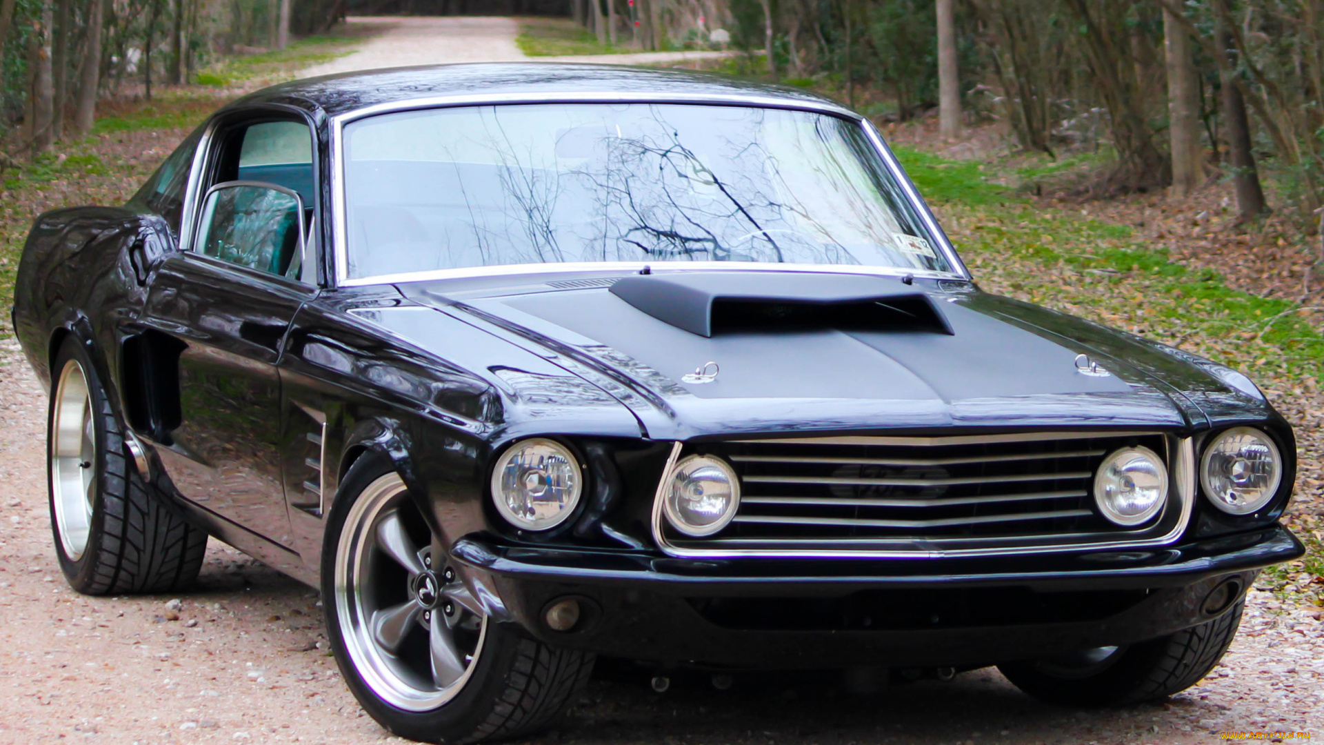 автомобили, mustang