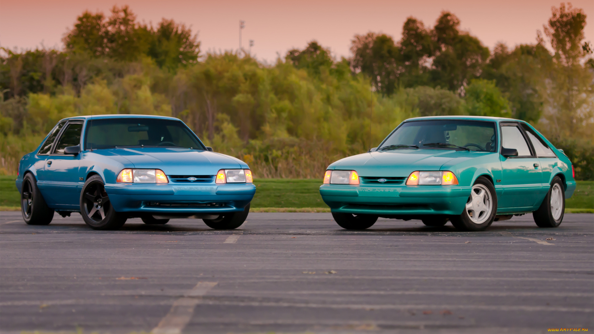 автомобили, mustang