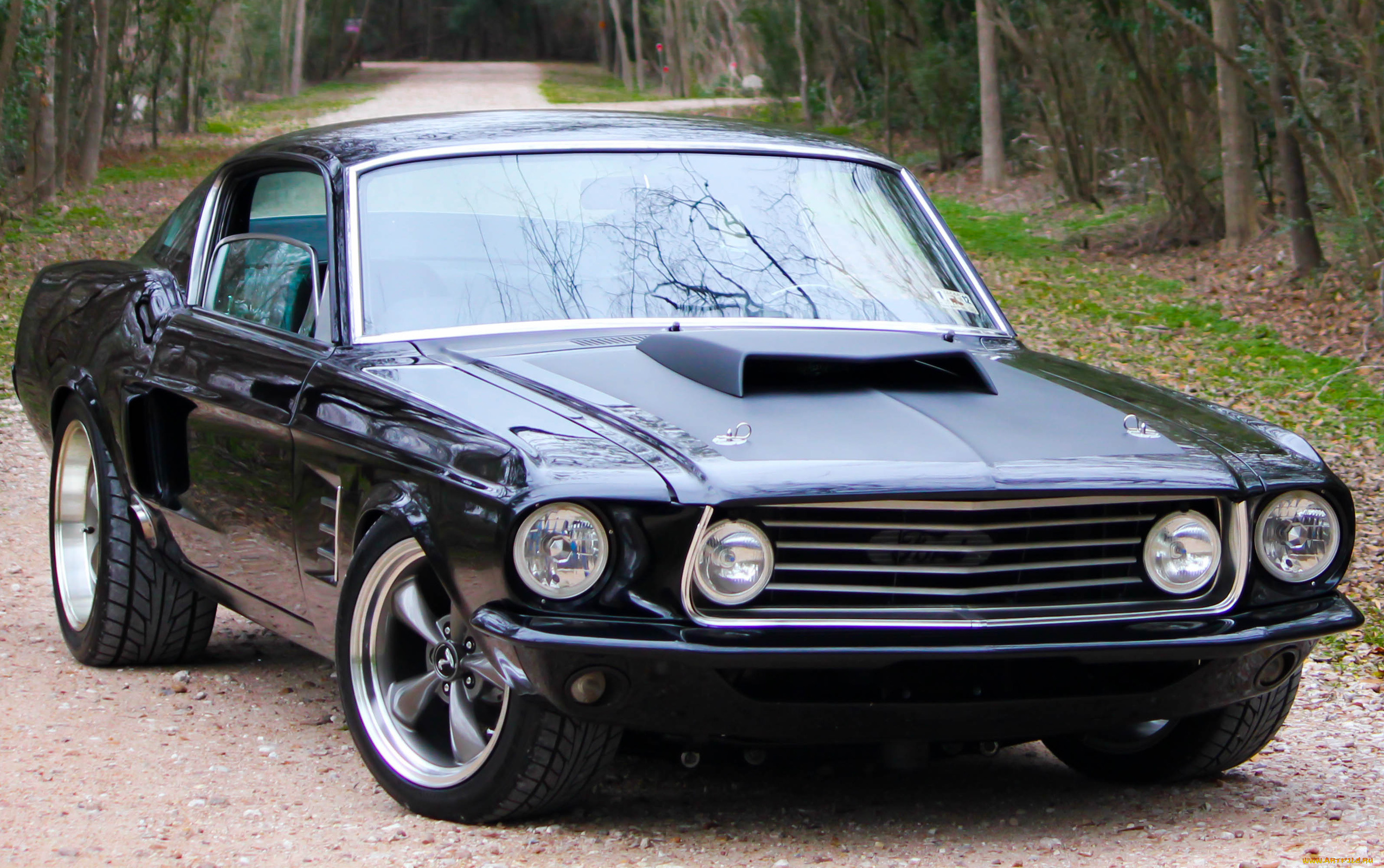 автомобили, mustang