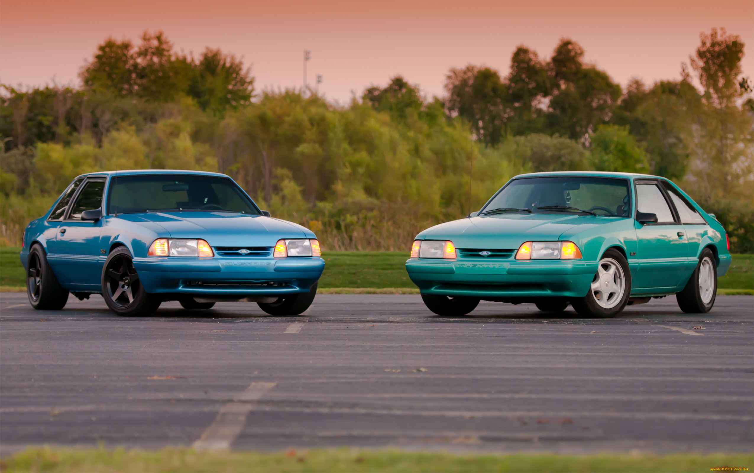 автомобили, mustang