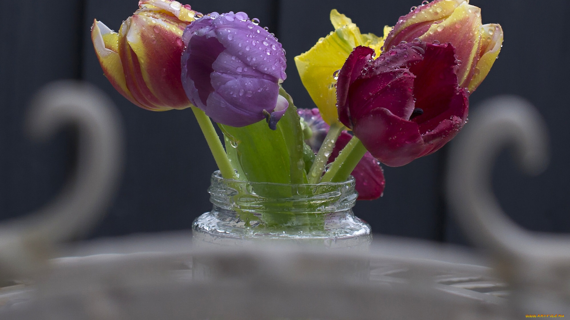 цветы, тюльпаны, букет, банка