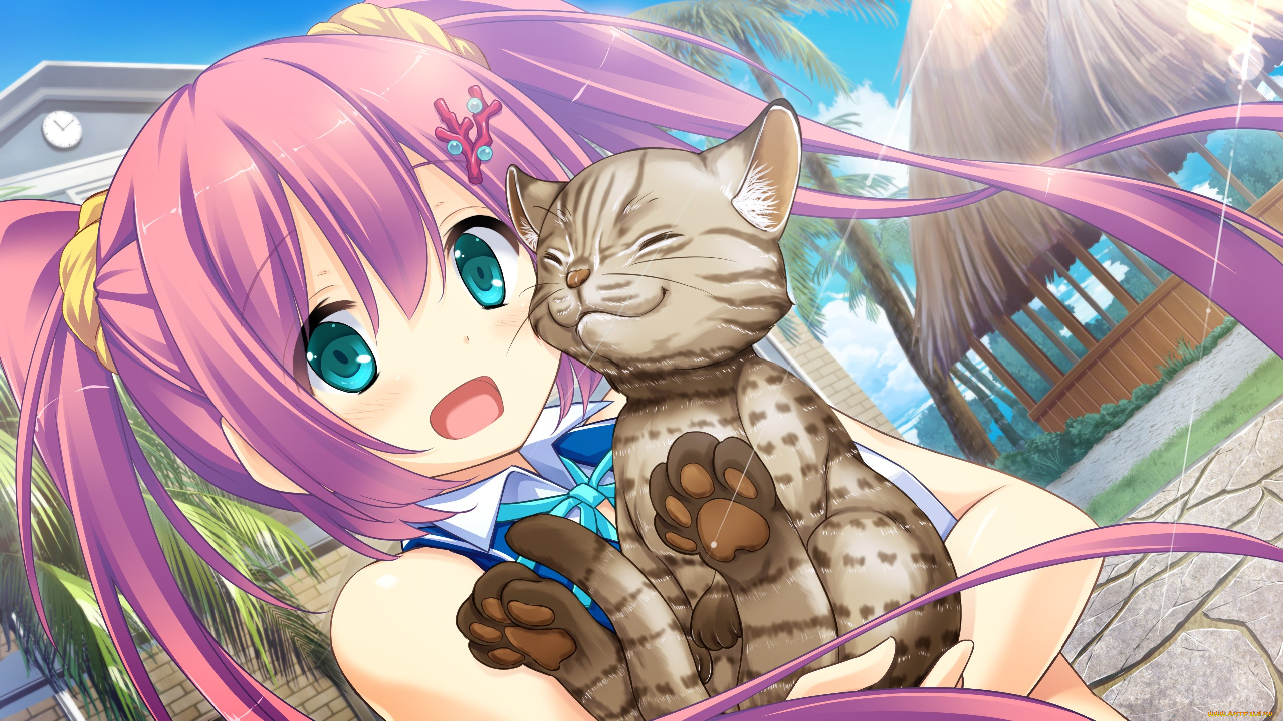 koisuru, natsu, no, last, resort, аниме, unknown, , другое, фон, взгляд, девушка