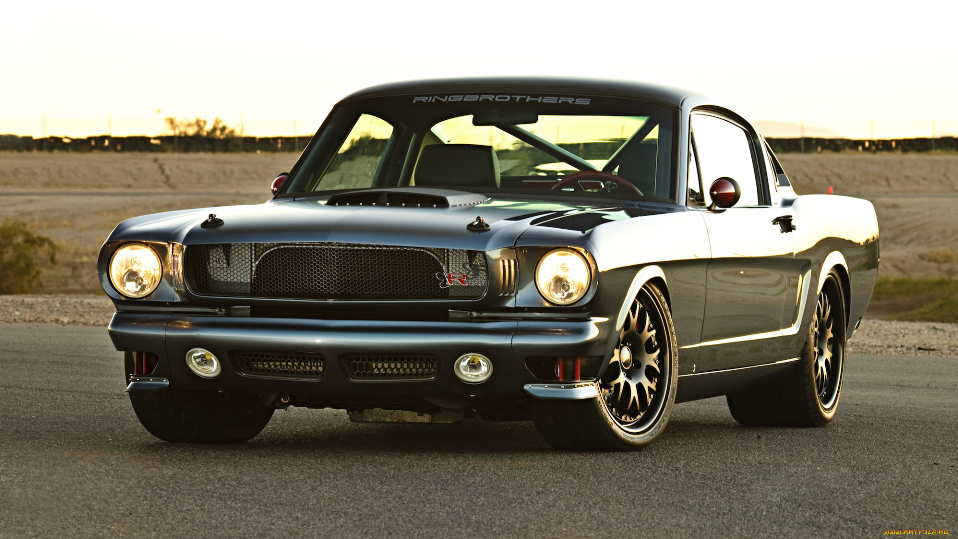 автомобили, mustang