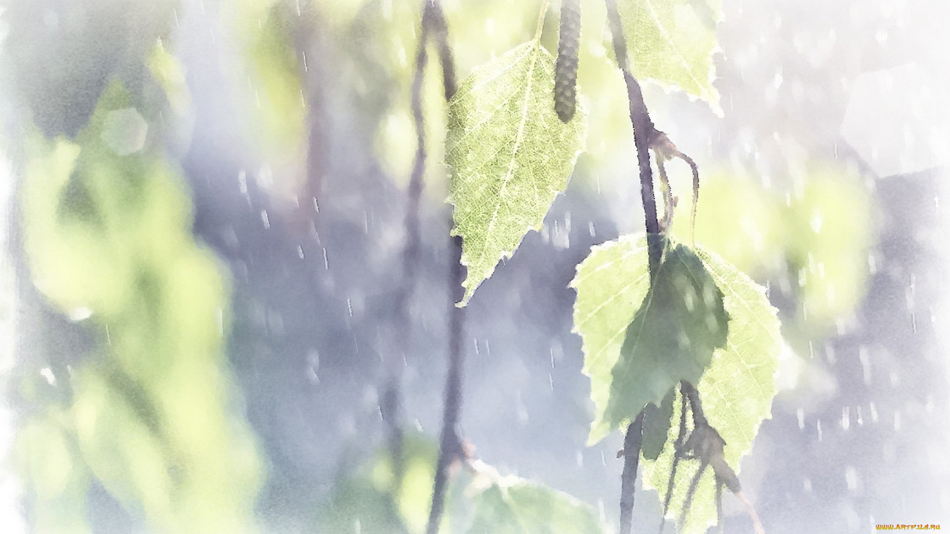 листочки, рисованное, природа, рисунок, ветви, акварель, лето, листья