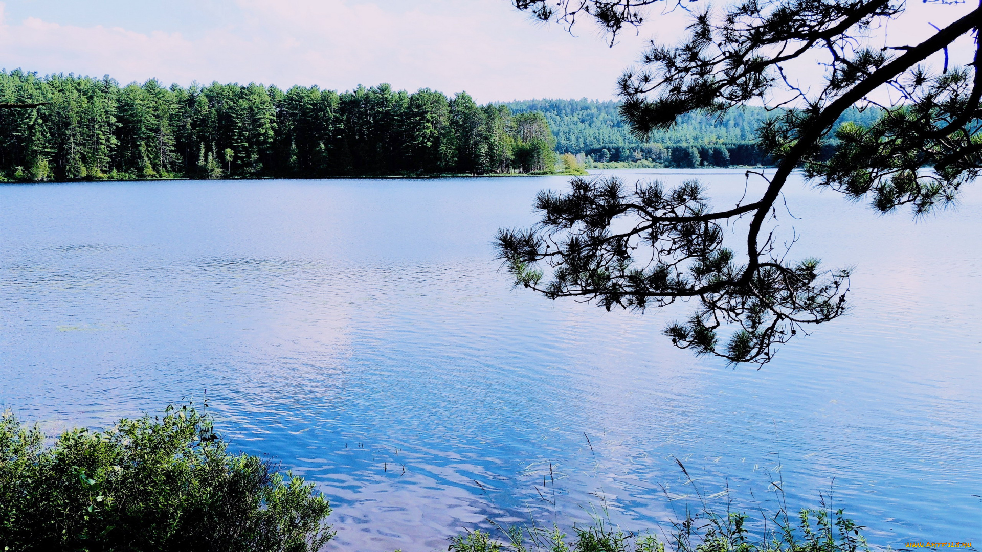 природа, реки, озера, вода, река, лето