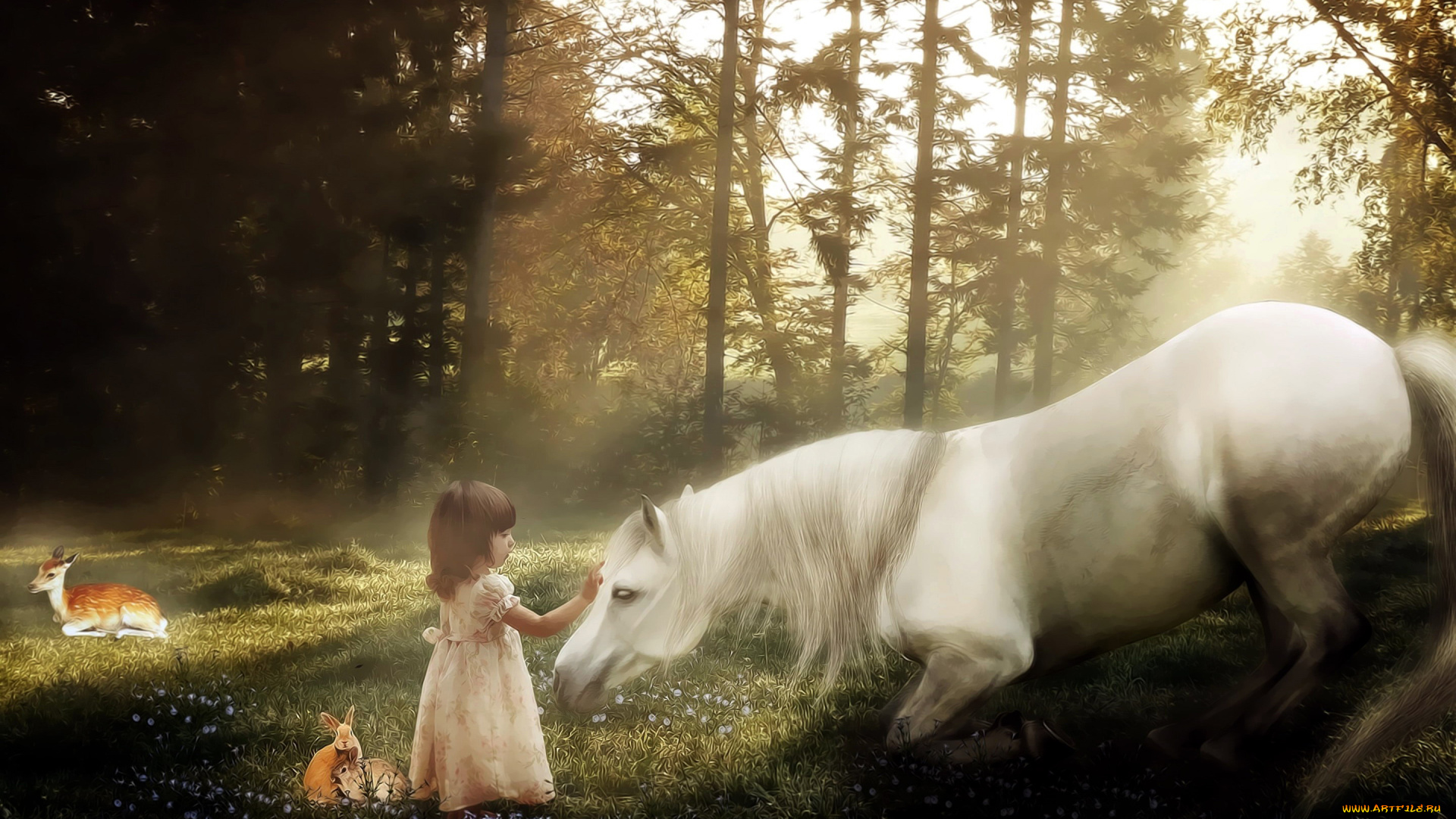 разное, компьютерный, дизайн, лес, лужайка, девочка, лошадь
