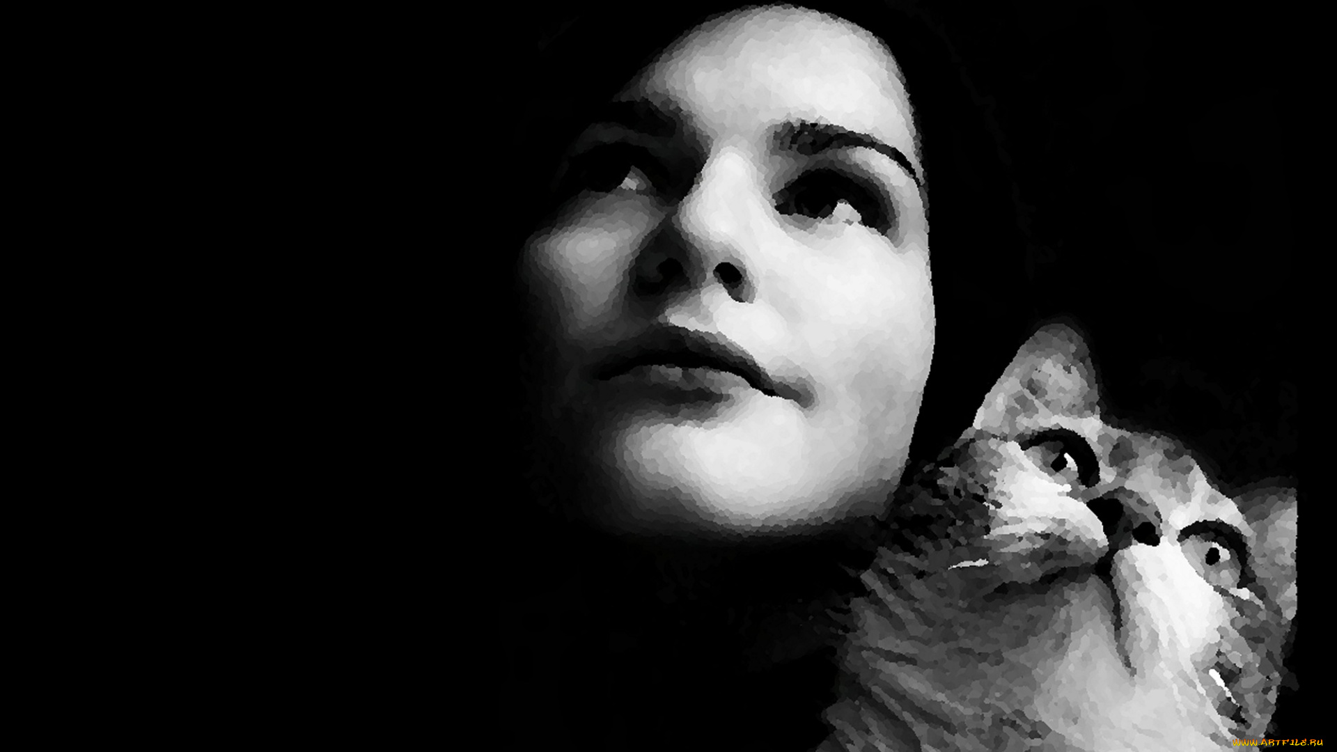 рисованное, люди, картина, маслом, кошка, девушка, черный, цвет