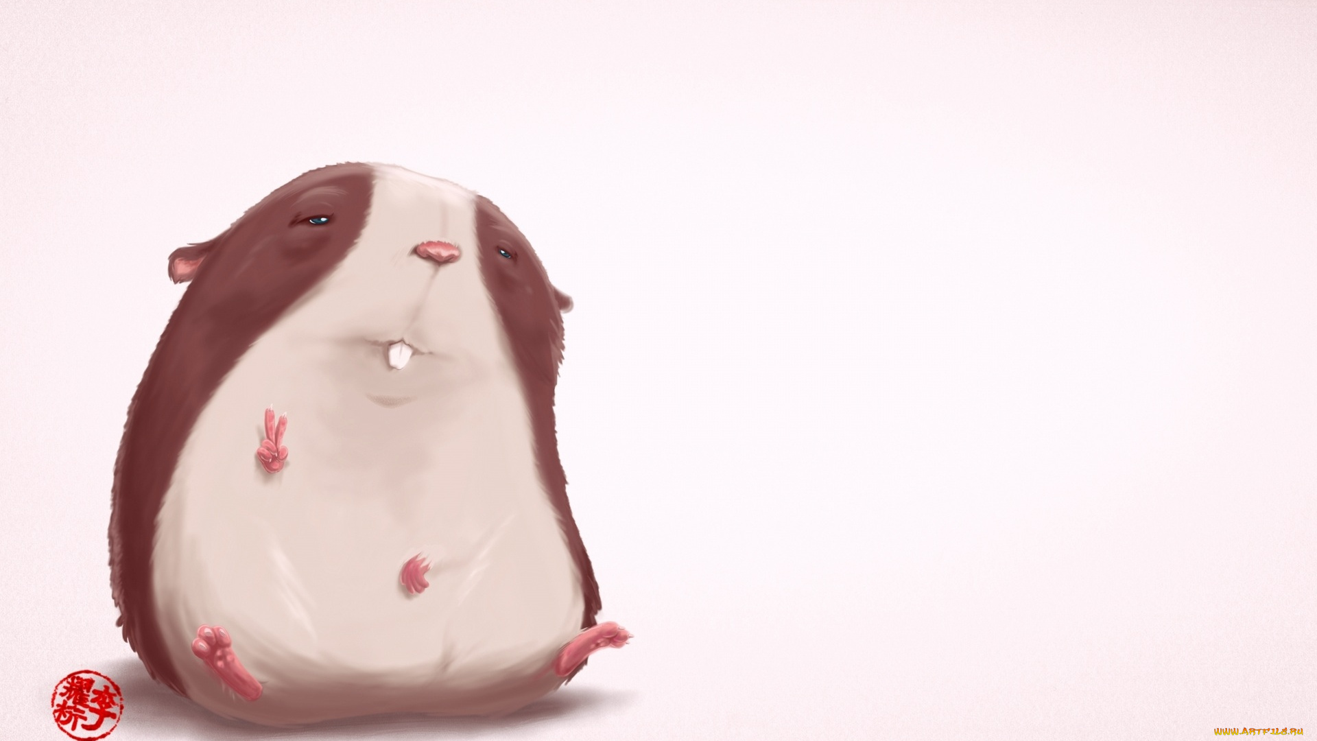 рисованное, животные, грызун, морская, свинка