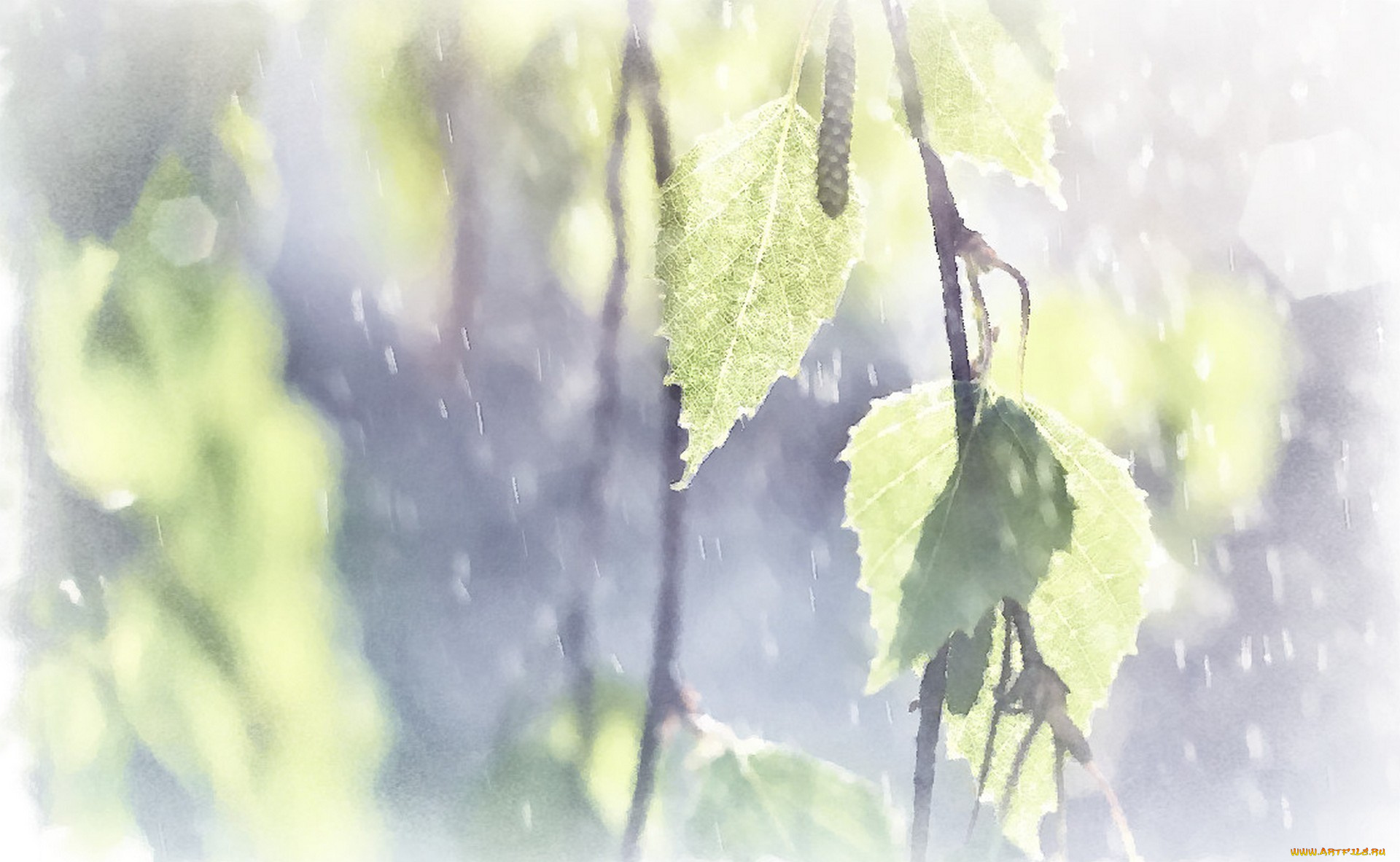 листочки, рисованное, природа, рисунок, ветви, акварель, лето, листья