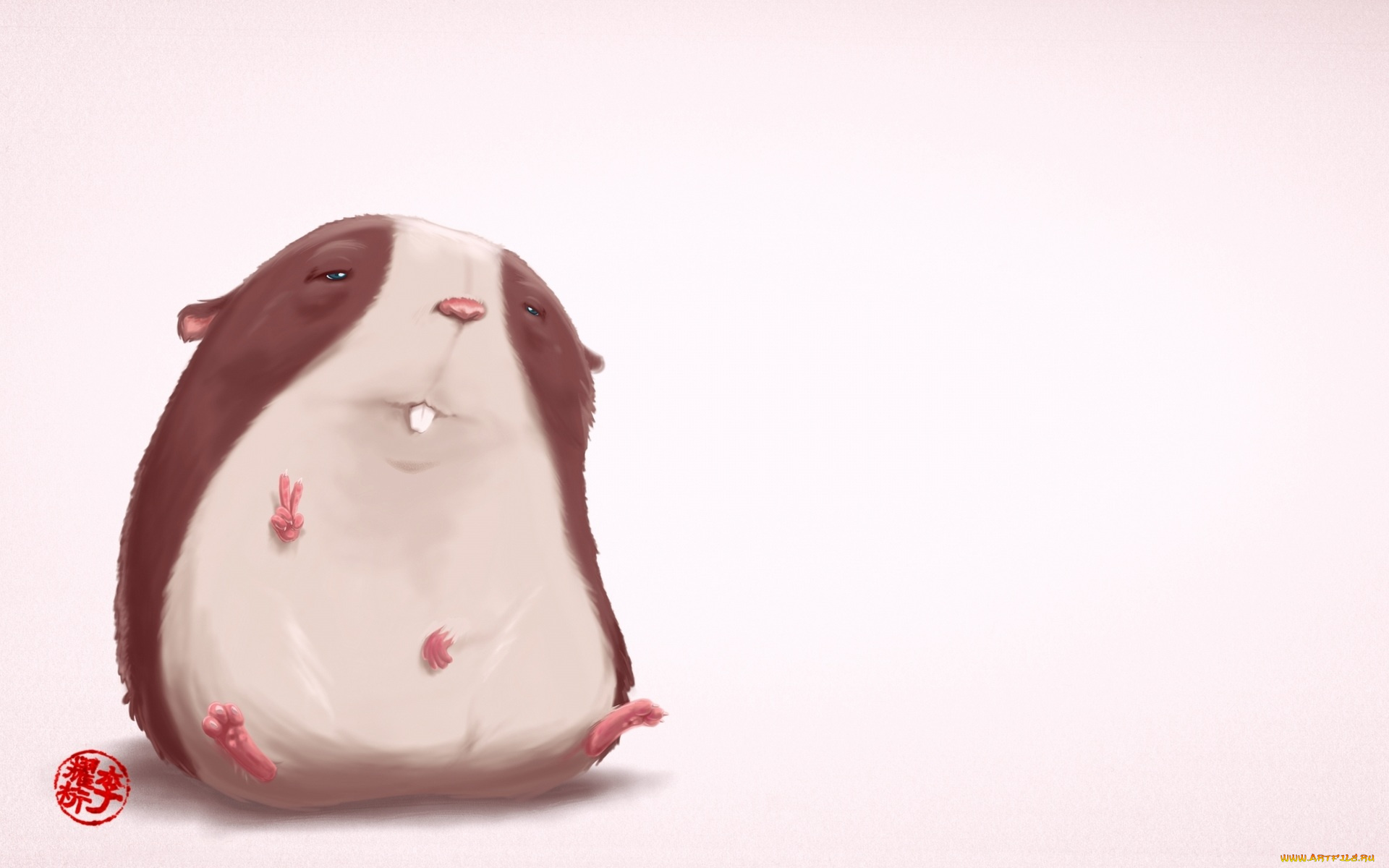 рисованное, животные, грызун, морская, свинка