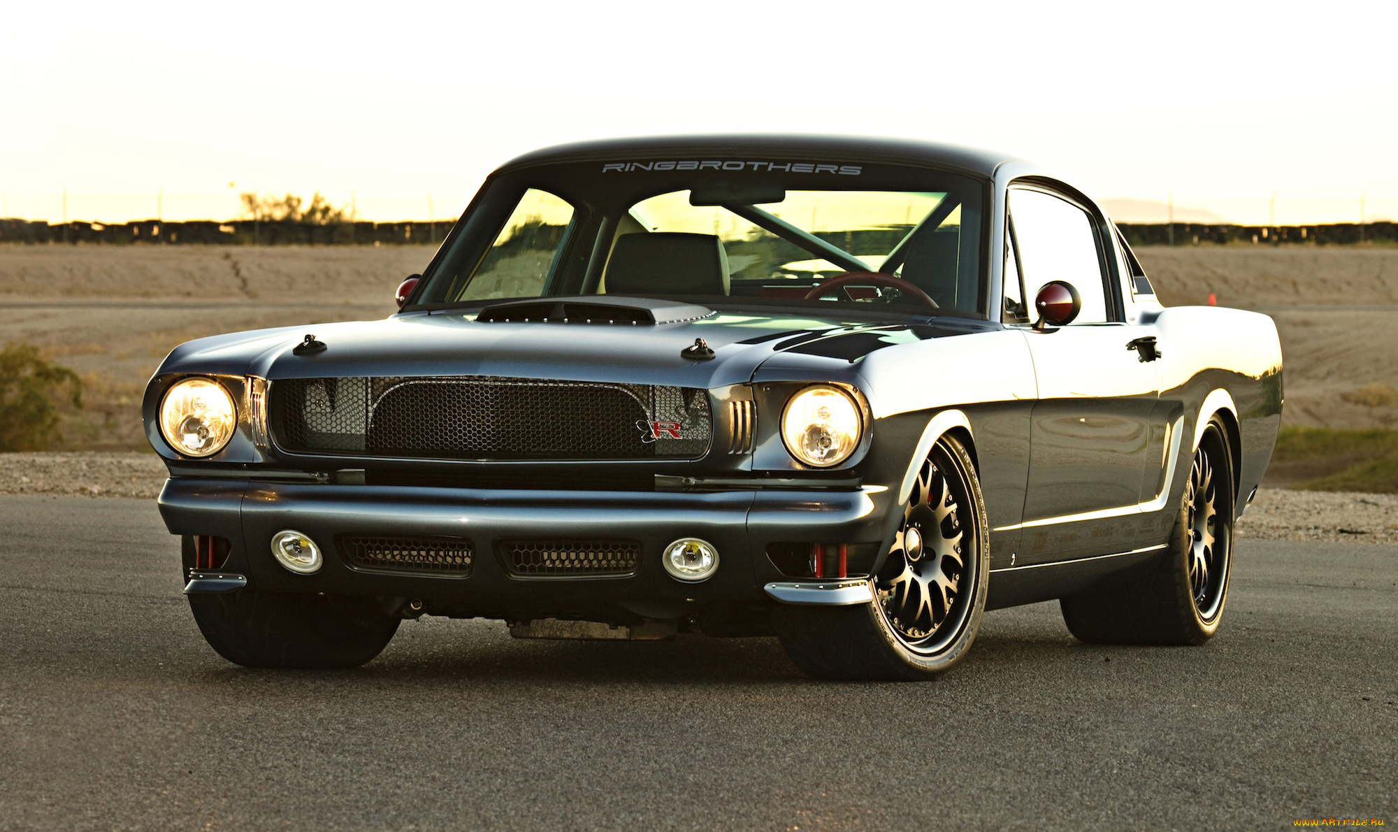 автомобили, mustang