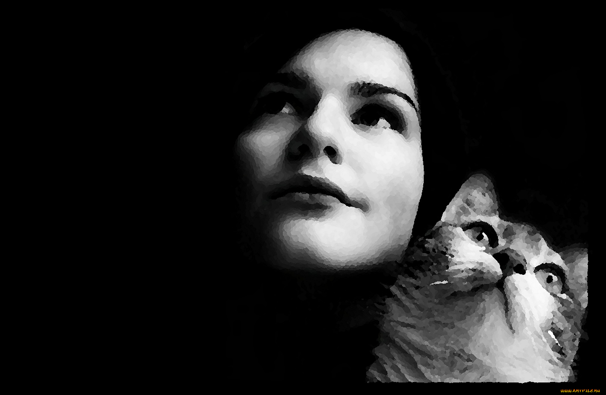 рисованное, люди, картина, маслом, кошка, девушка, черный, цвет