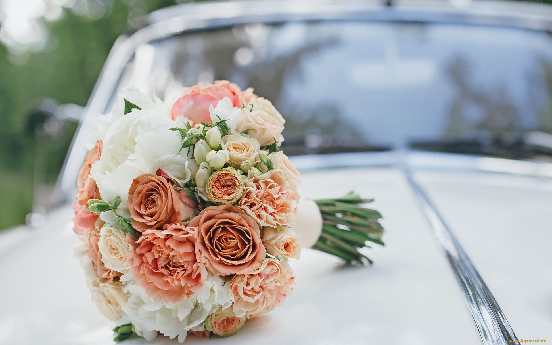цветы, букеты, , композиции, капот, свадьба, машина, букет