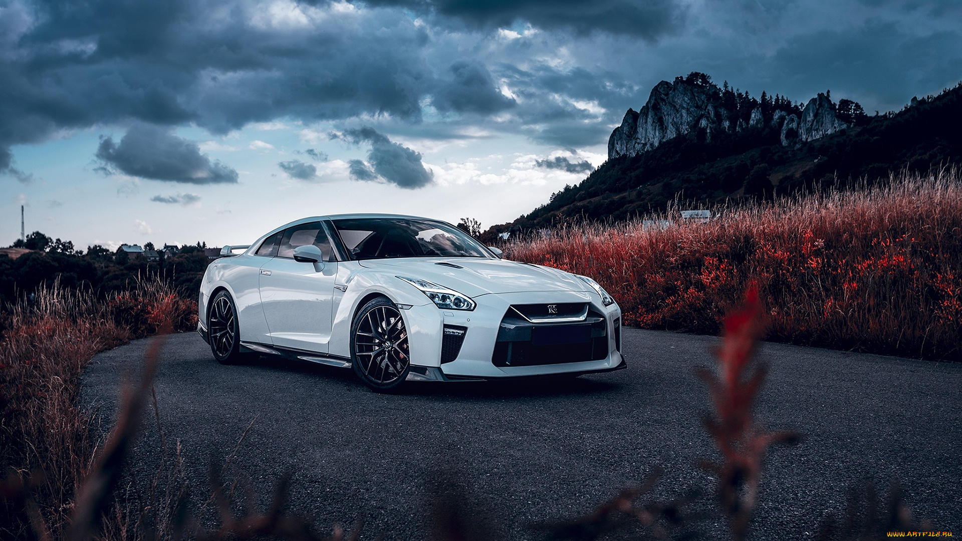 автомобили, nissan, datsun, gt-r