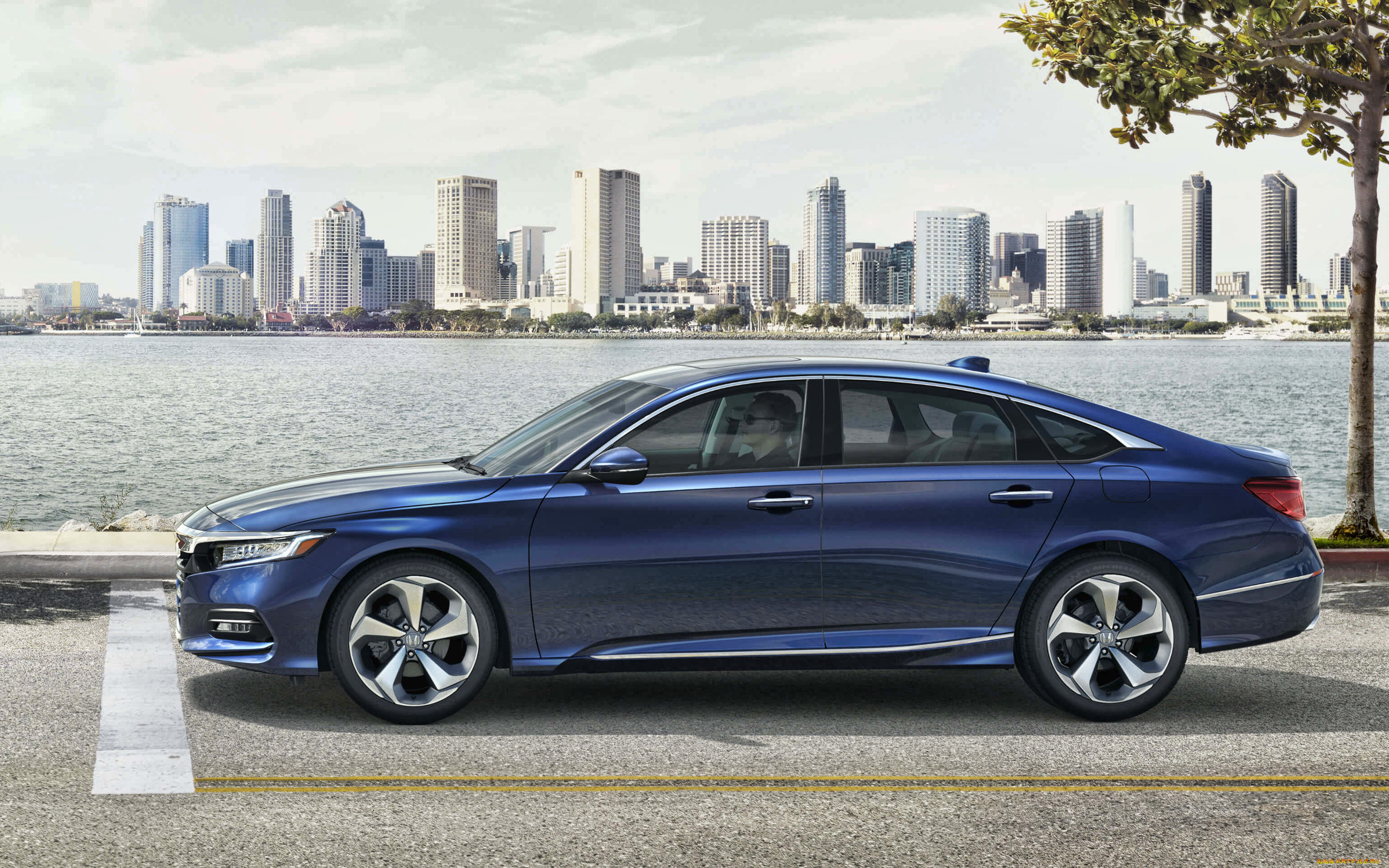 2020, honda, accord, автомобили, honda, accord, 2020, внешность, вид, сбоку, i-vtec, синий, седан, японские