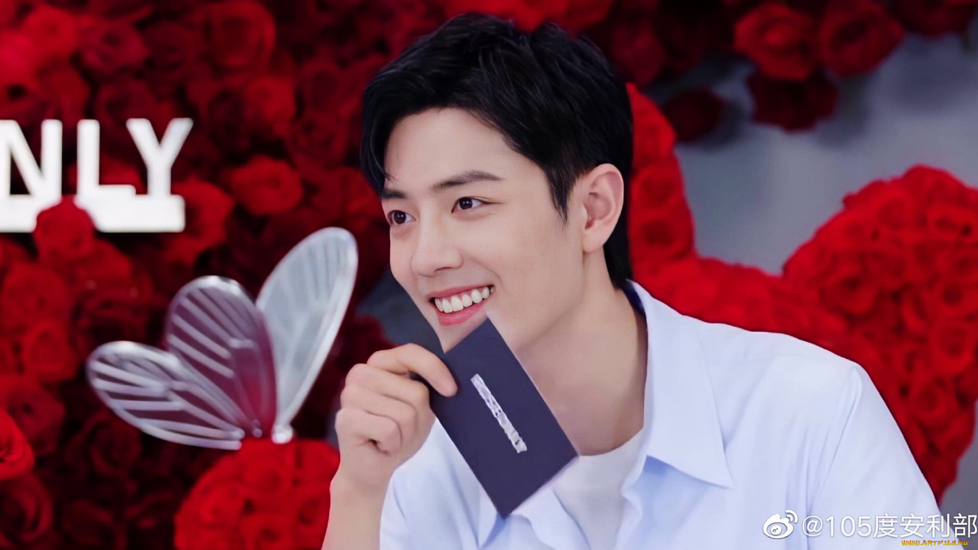 мужчины, xiao, zhan, актер, розы, бабочка, презентация, карточка