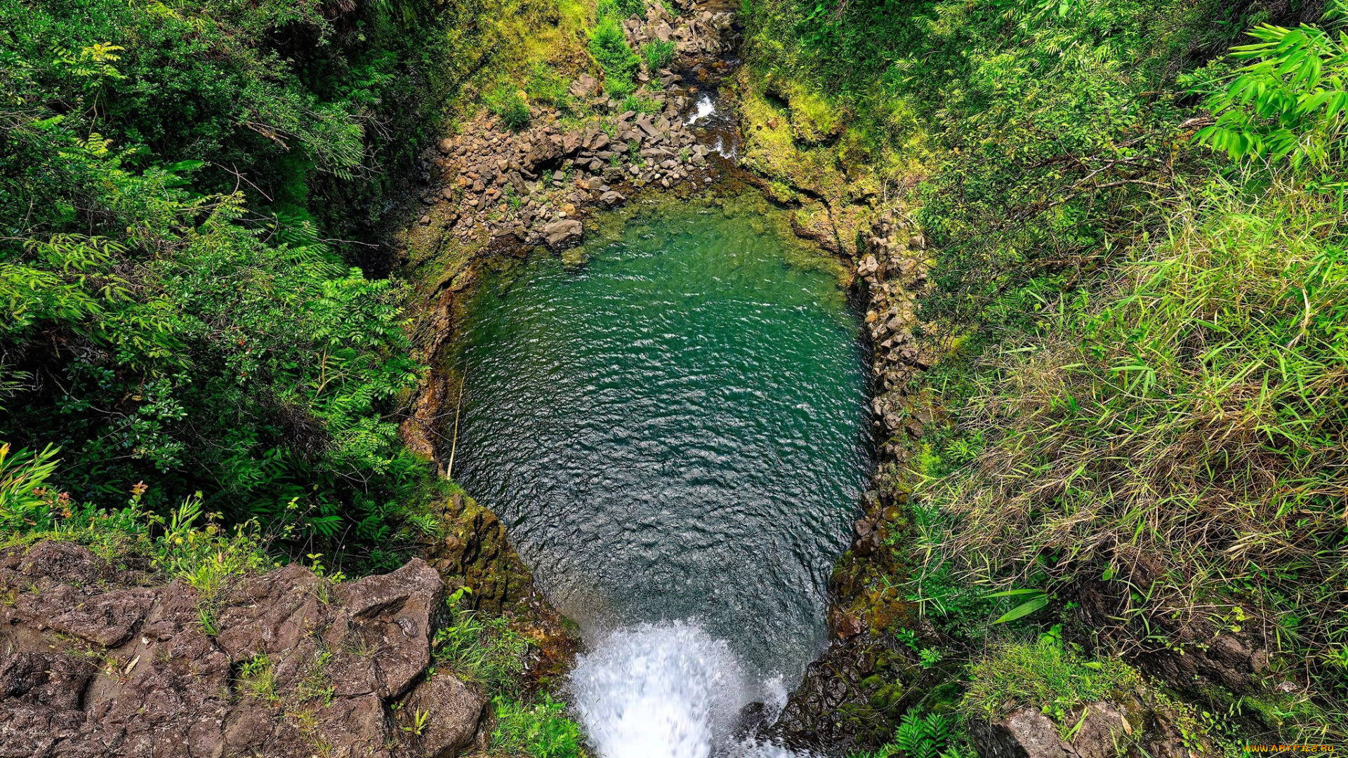 природа, реки, озера, озеро, зелень