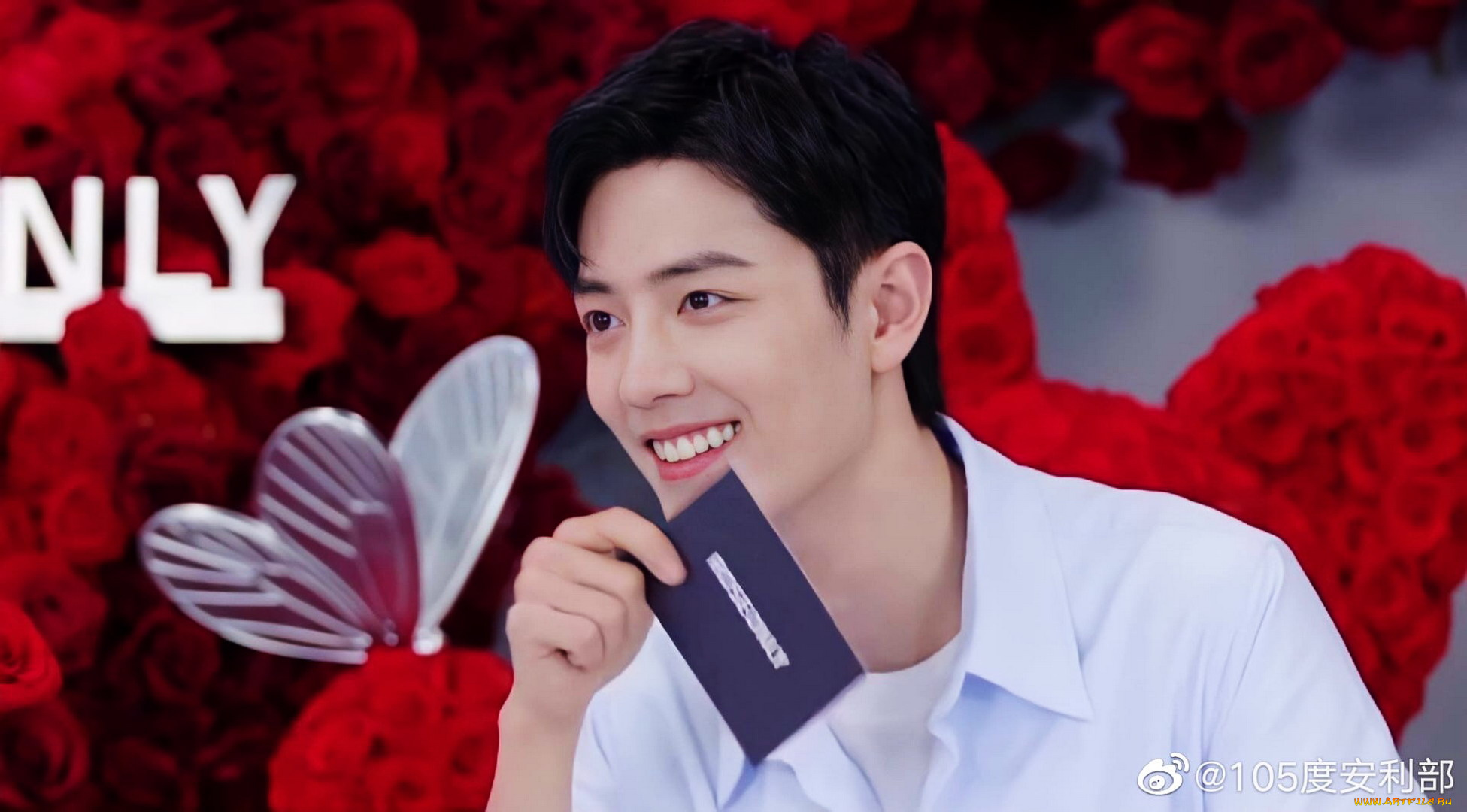 мужчины, xiao, zhan, актер, розы, бабочка, презентация, карточка