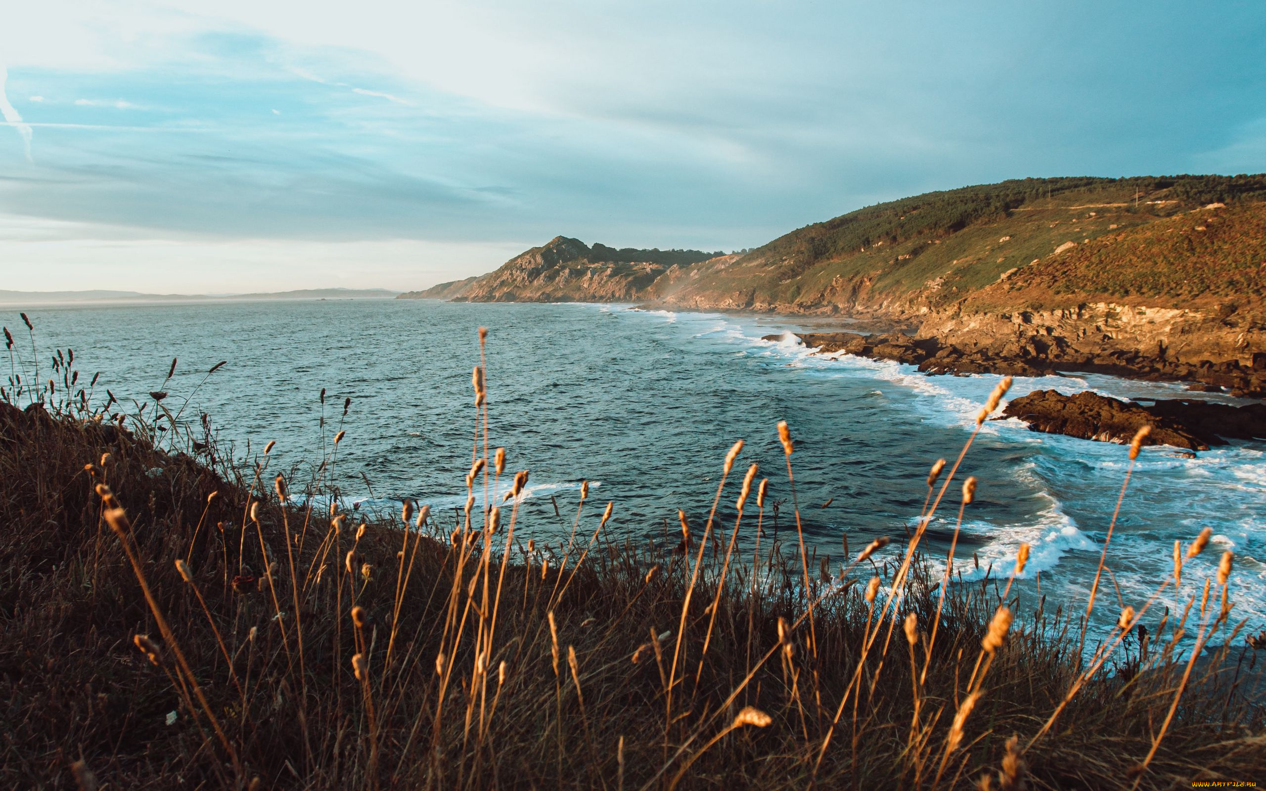 природа, побережье, скалы, вода