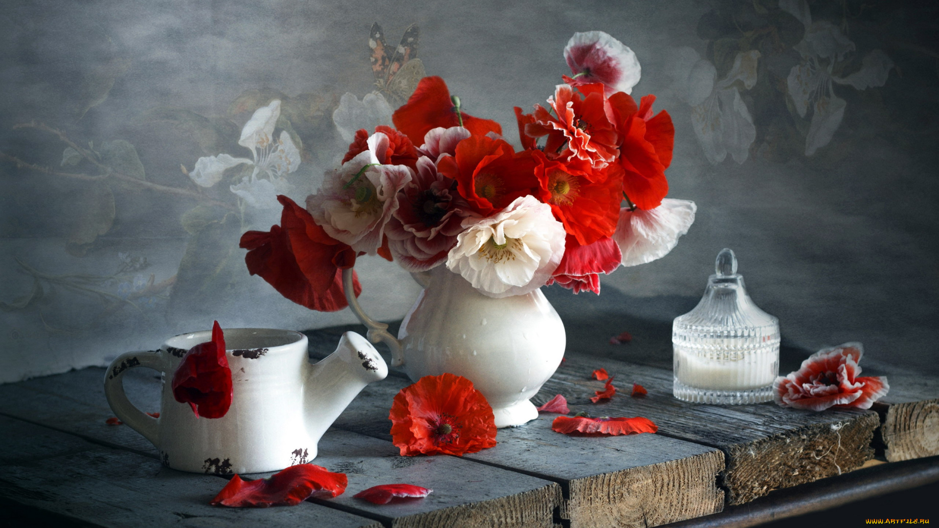 цветы, маки, букет, красные, белые