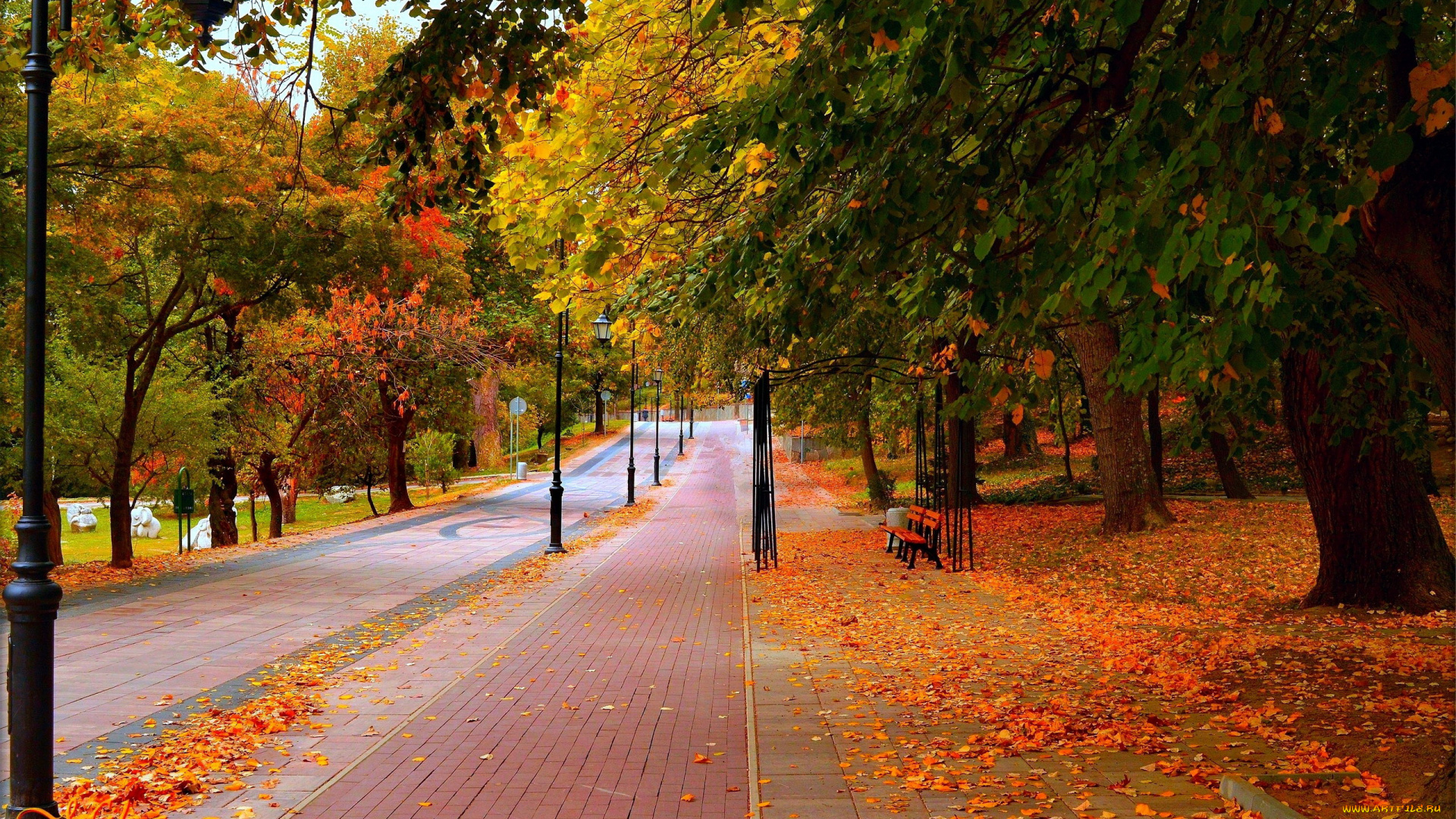 природа, парк, аллея, деревья, осень, листья, листопад