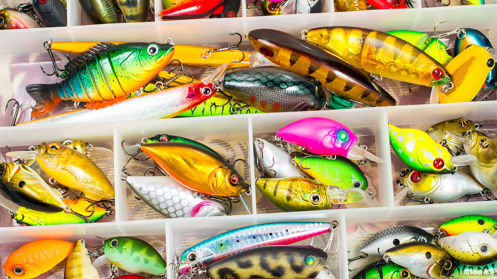 разное, рыбалка, , рыбаки, , улов, , снасти, рыболовные, снасти, блесны