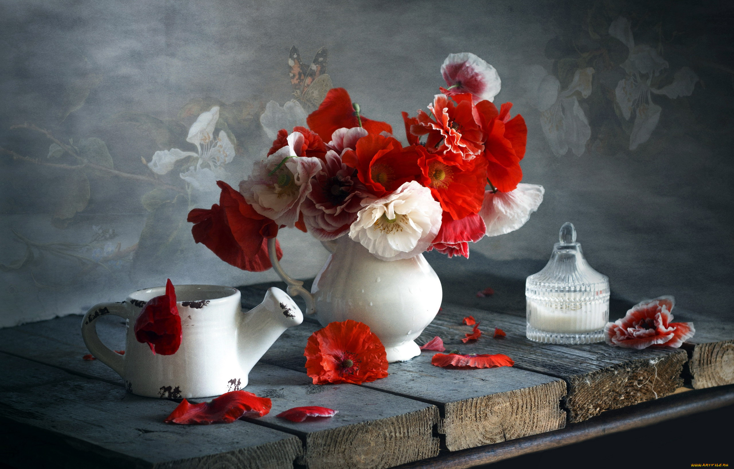 цветы, маки, букет, красные, белые