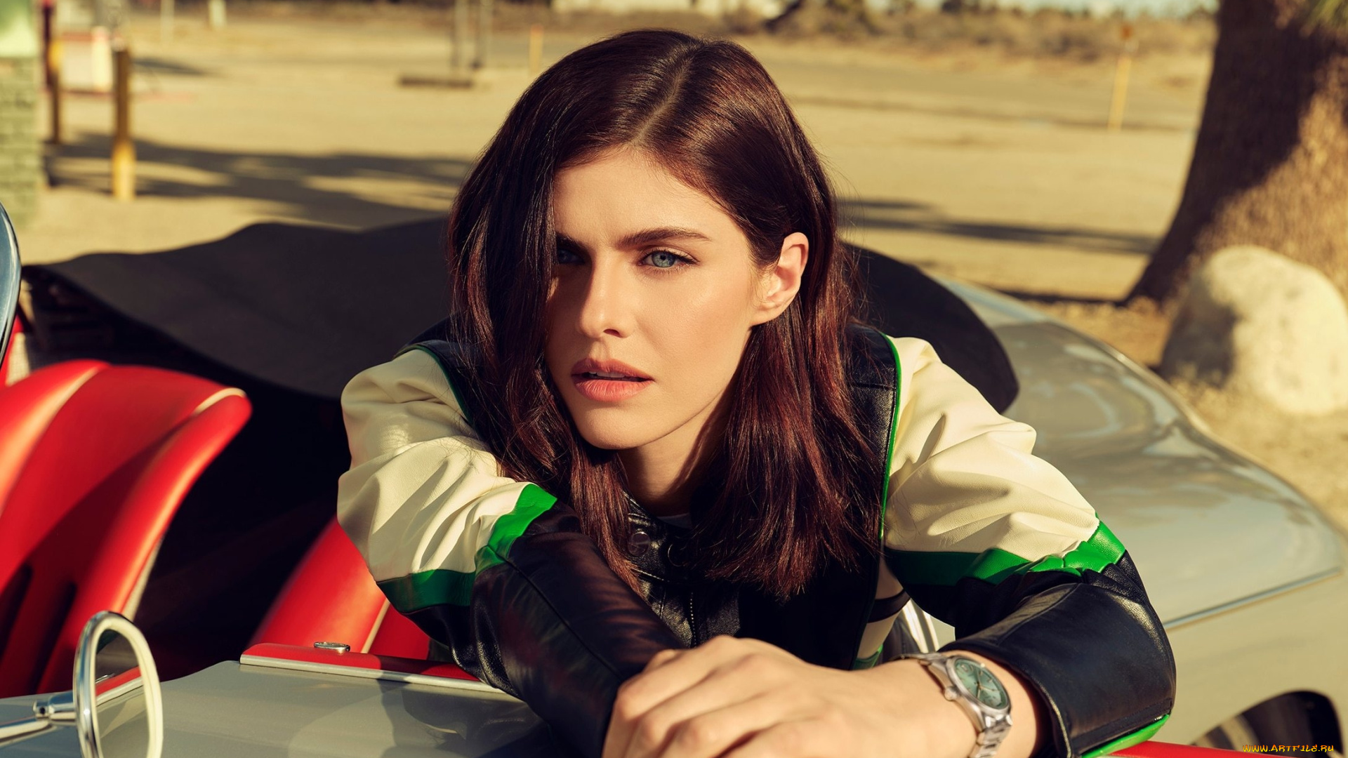 девушки, alexandra, daddario, александра, даддарио, женщина, актриса, автомобиль, знаменитость, нью, йорк, сша