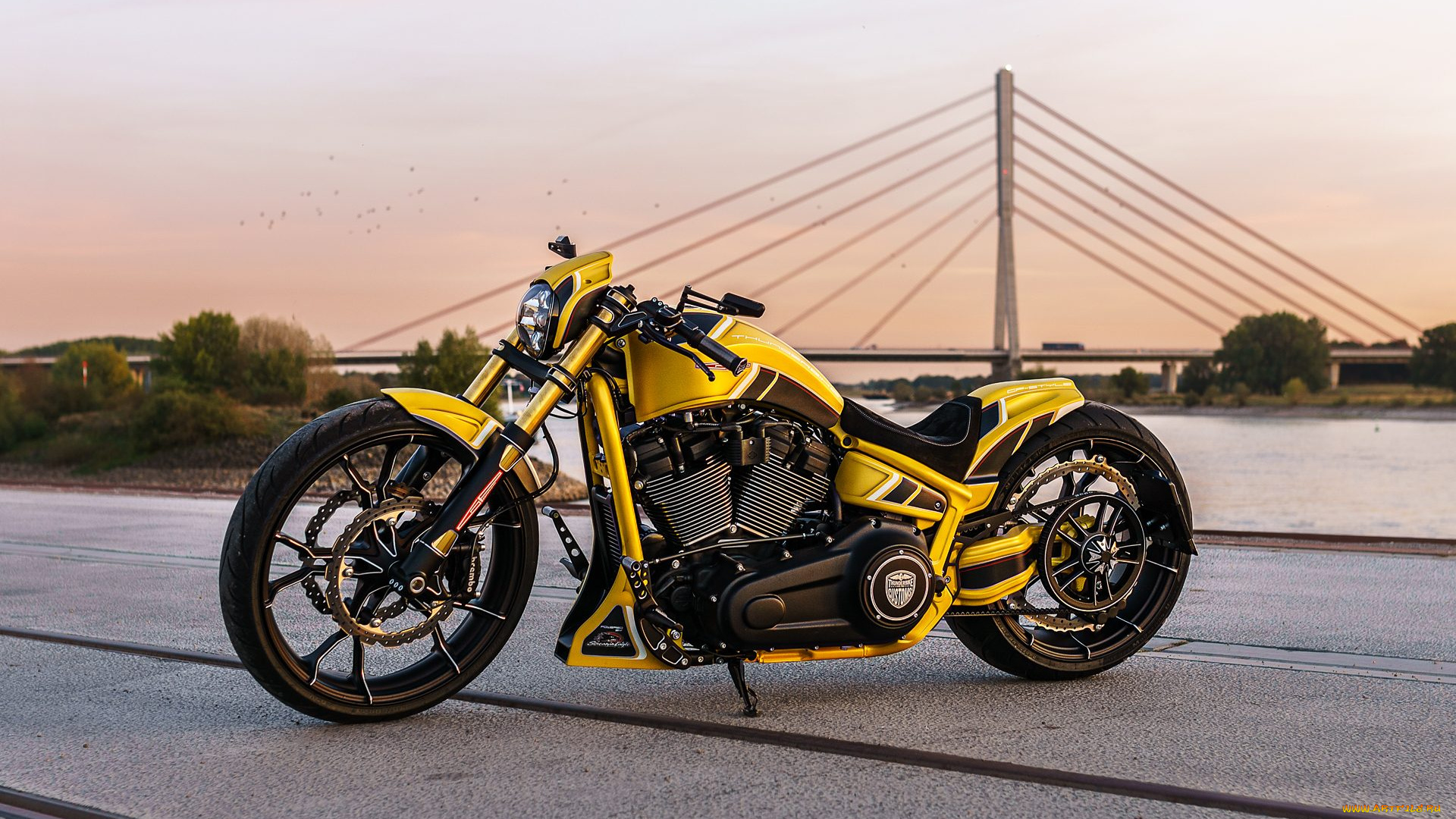 харлей, мотоциклы, harley-davidson, мотоцикл, байк, thunderbike, customs