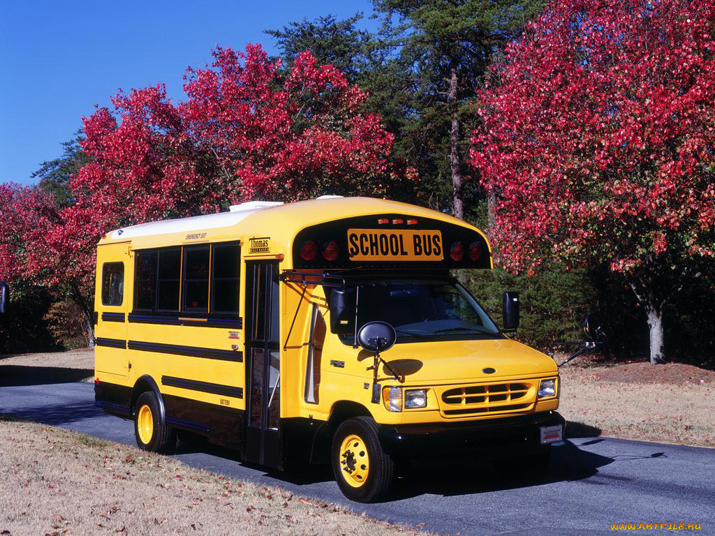 автомобили, автобусы