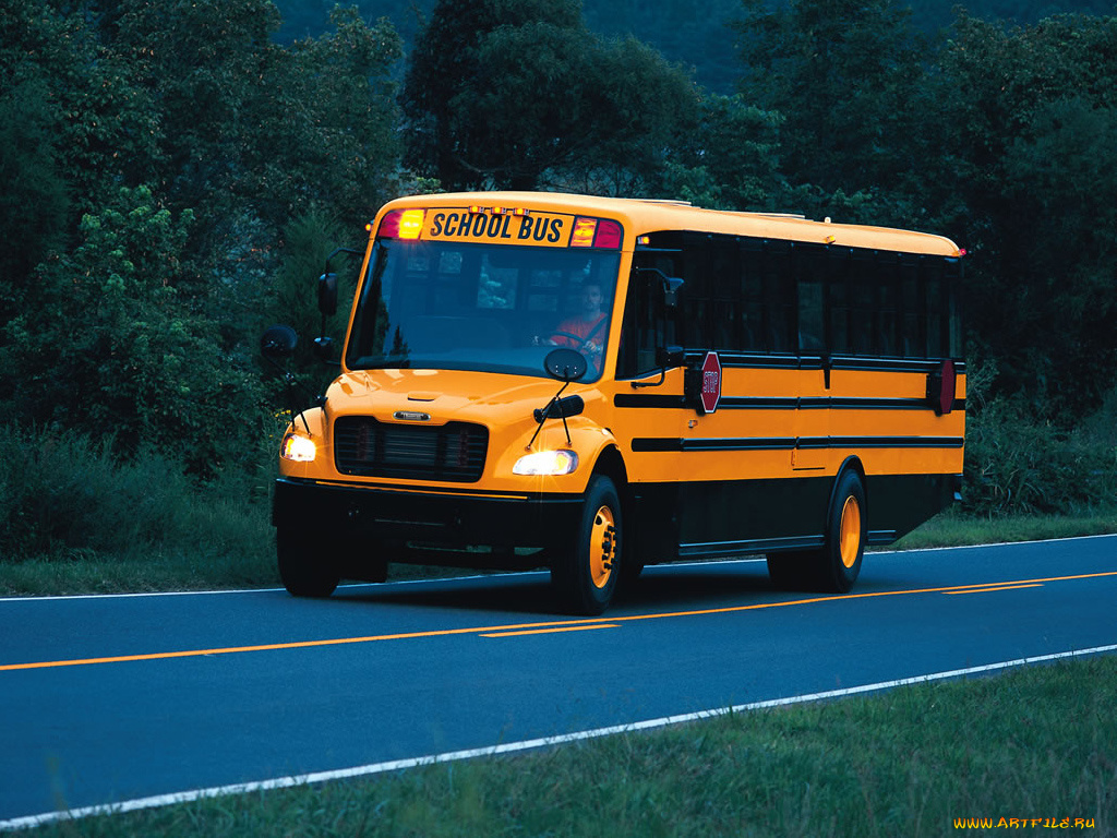 автомобили, автобусы