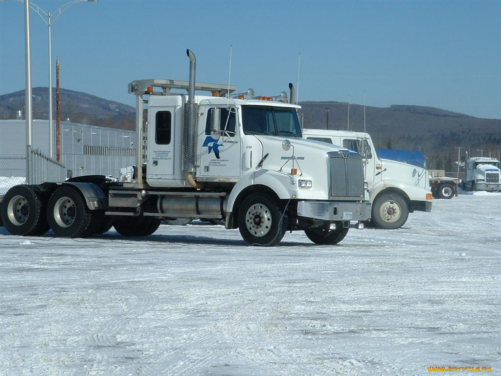 автомобили, western, star