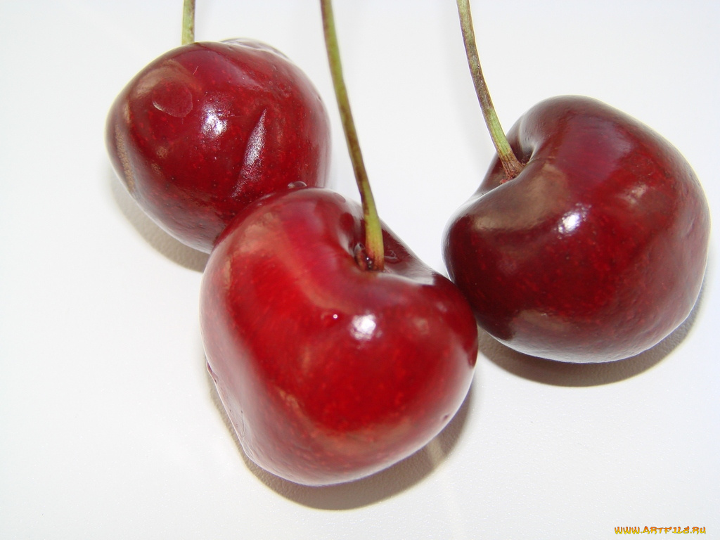 еда, вишня, черешня