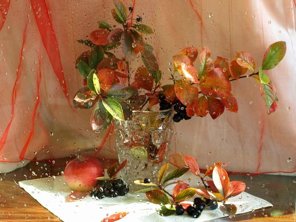 xsanf, сентябрьский, натюрморт, еда